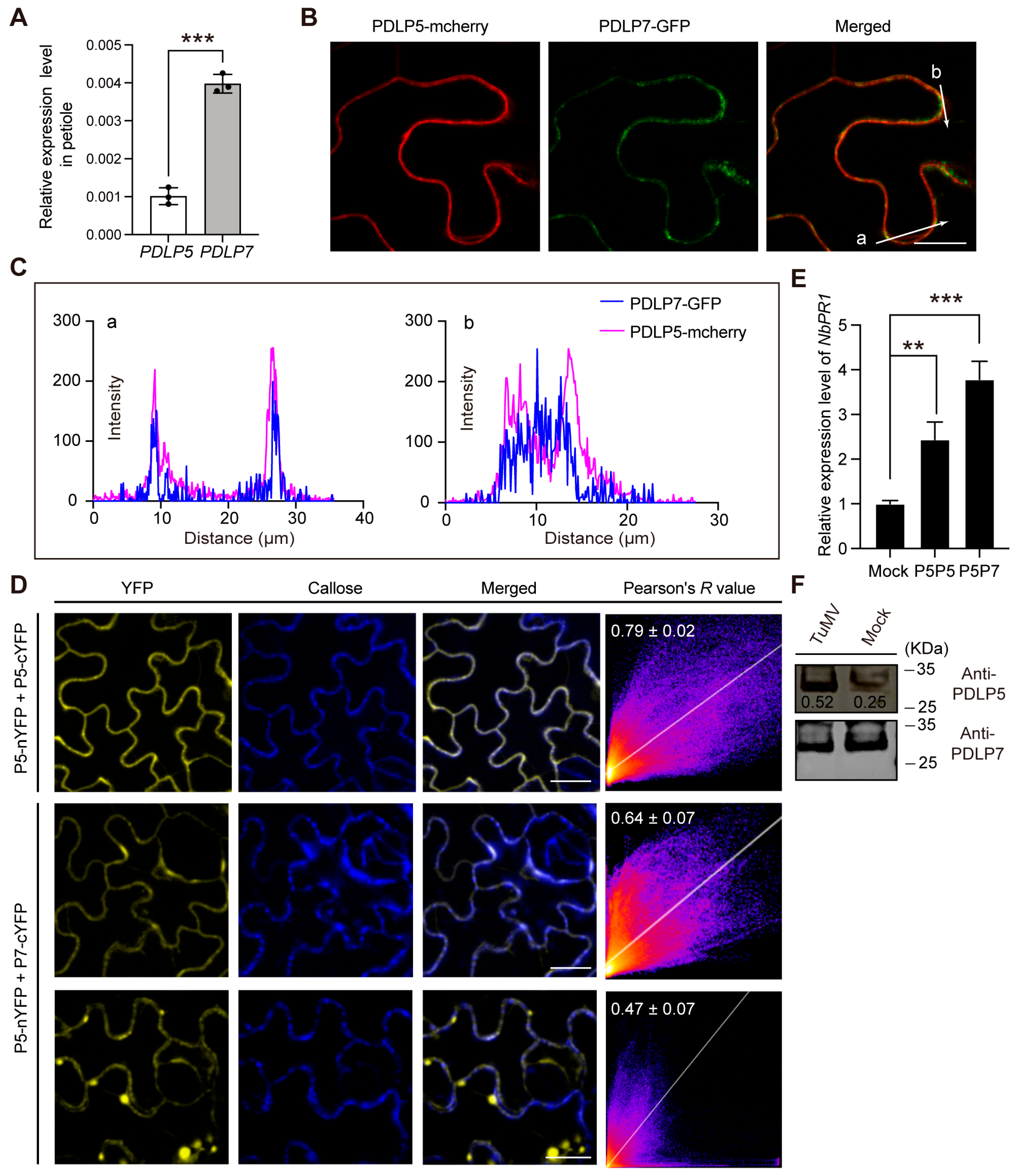 Plants 15 00145 g004 Plants 15 00145 g004