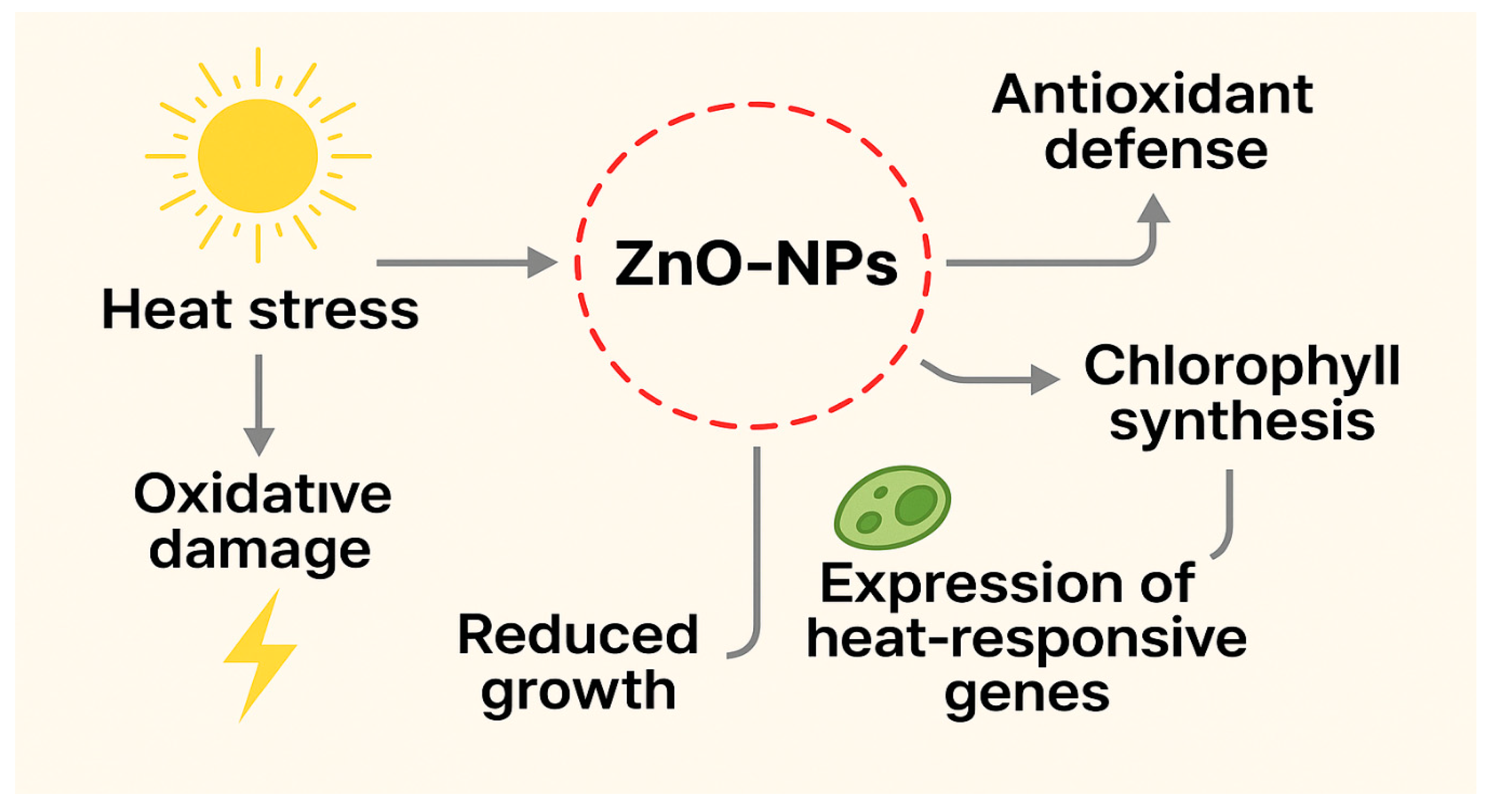 Plants 15 00147 g003 Plants 15 00147 g003