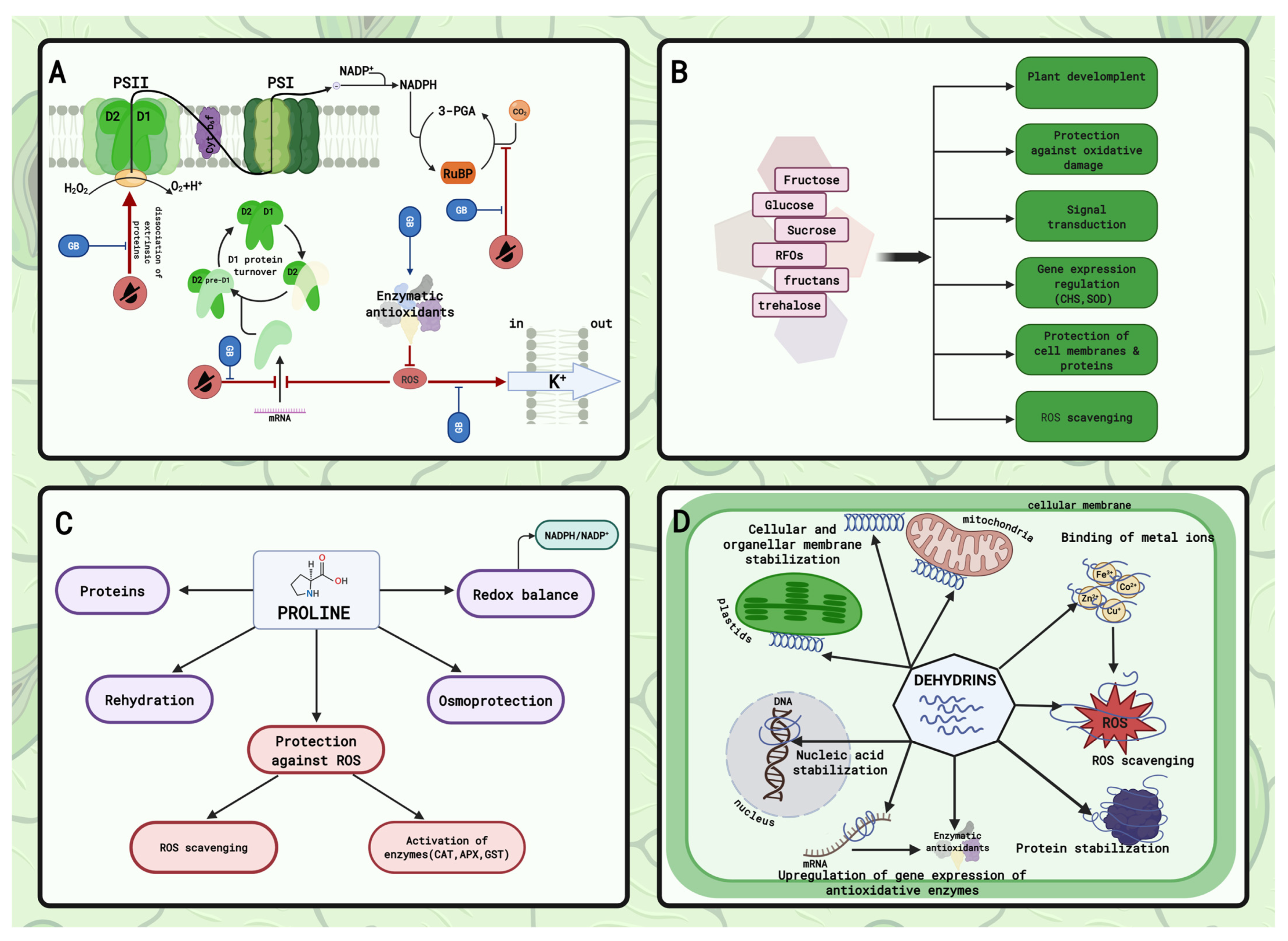 Plants 15 00149 g003 Plants 15 00149 g003