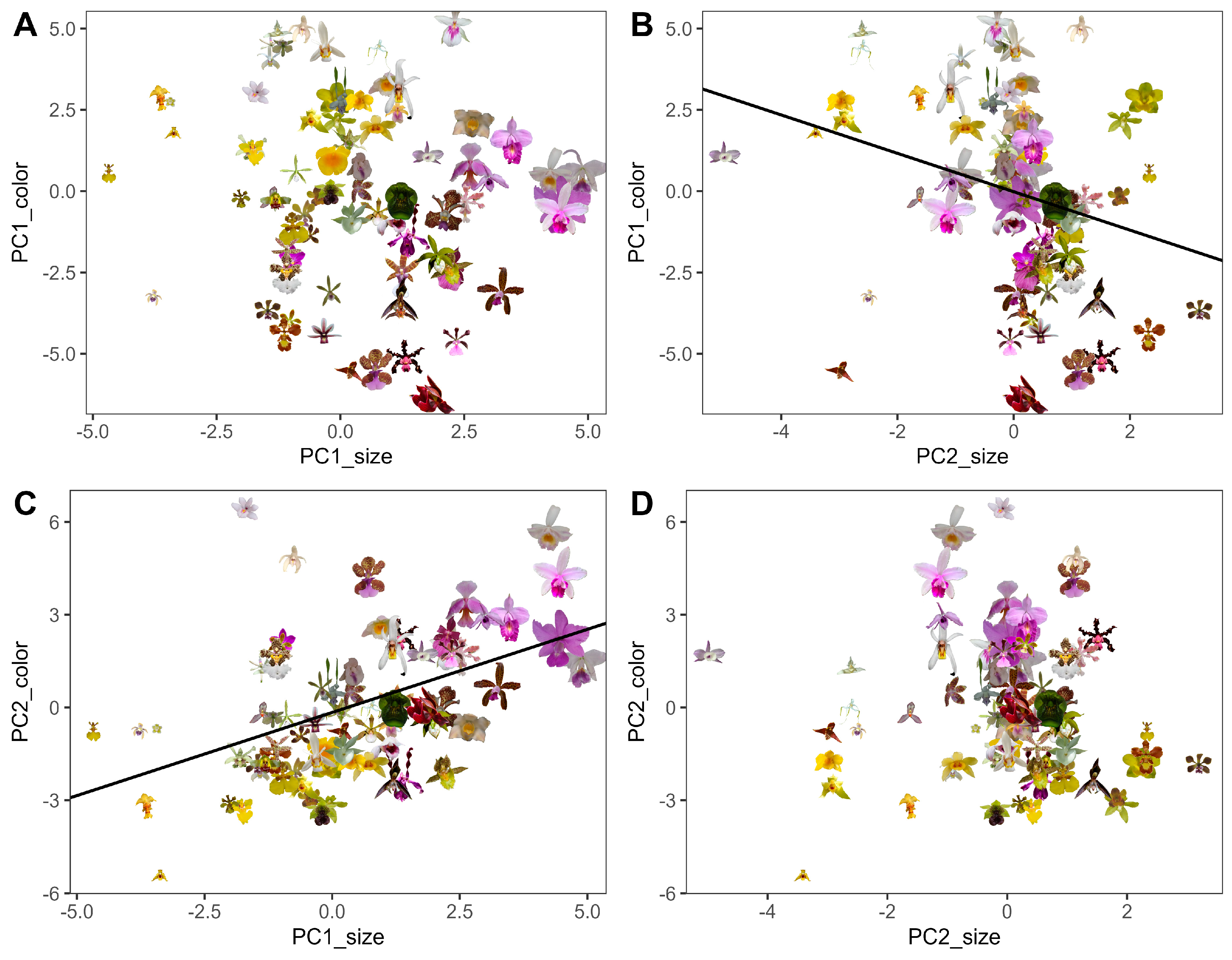 Plants 15 00154 g006