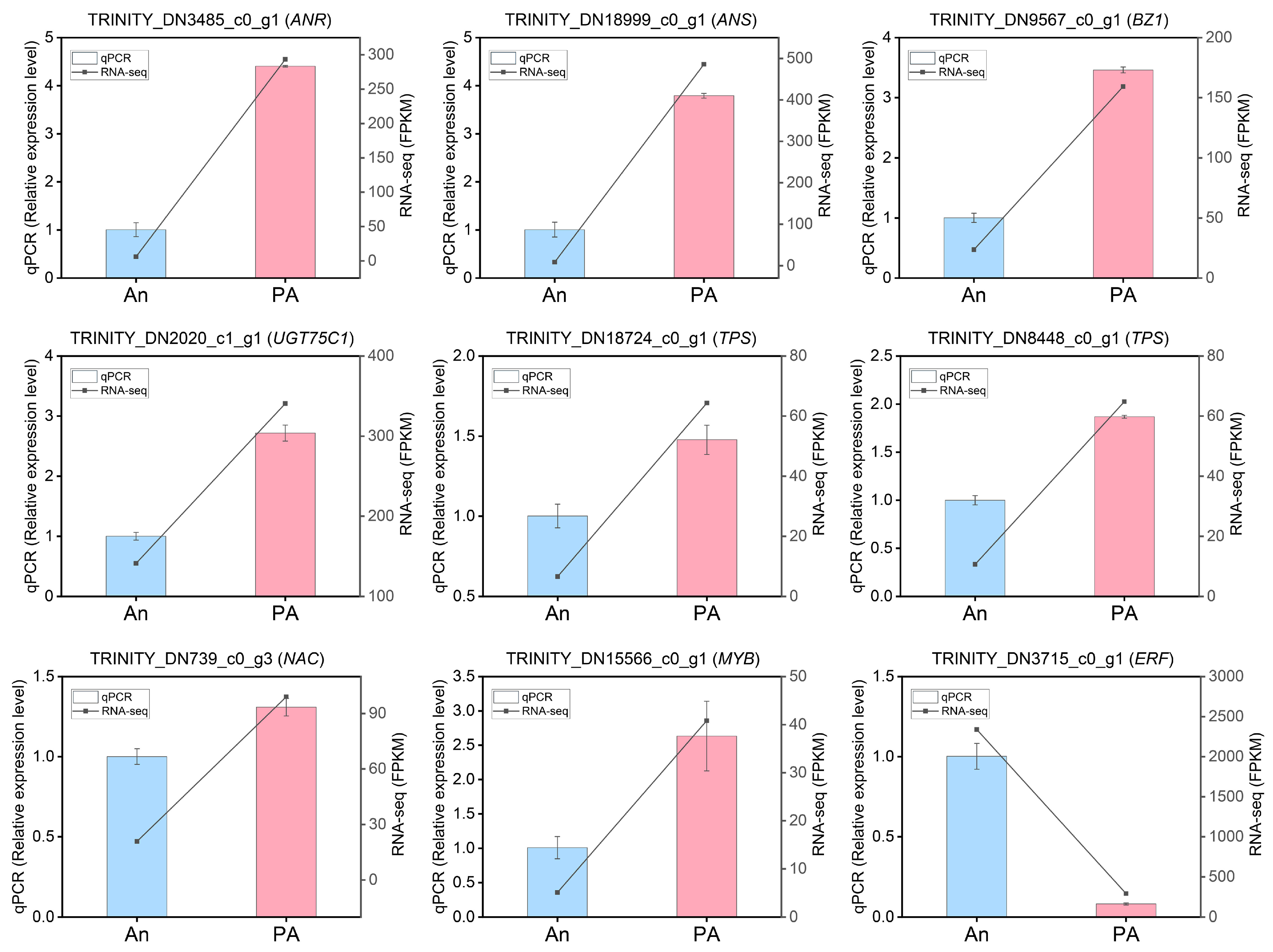Plants 15 00155 g007 Plants 15 00155 g007