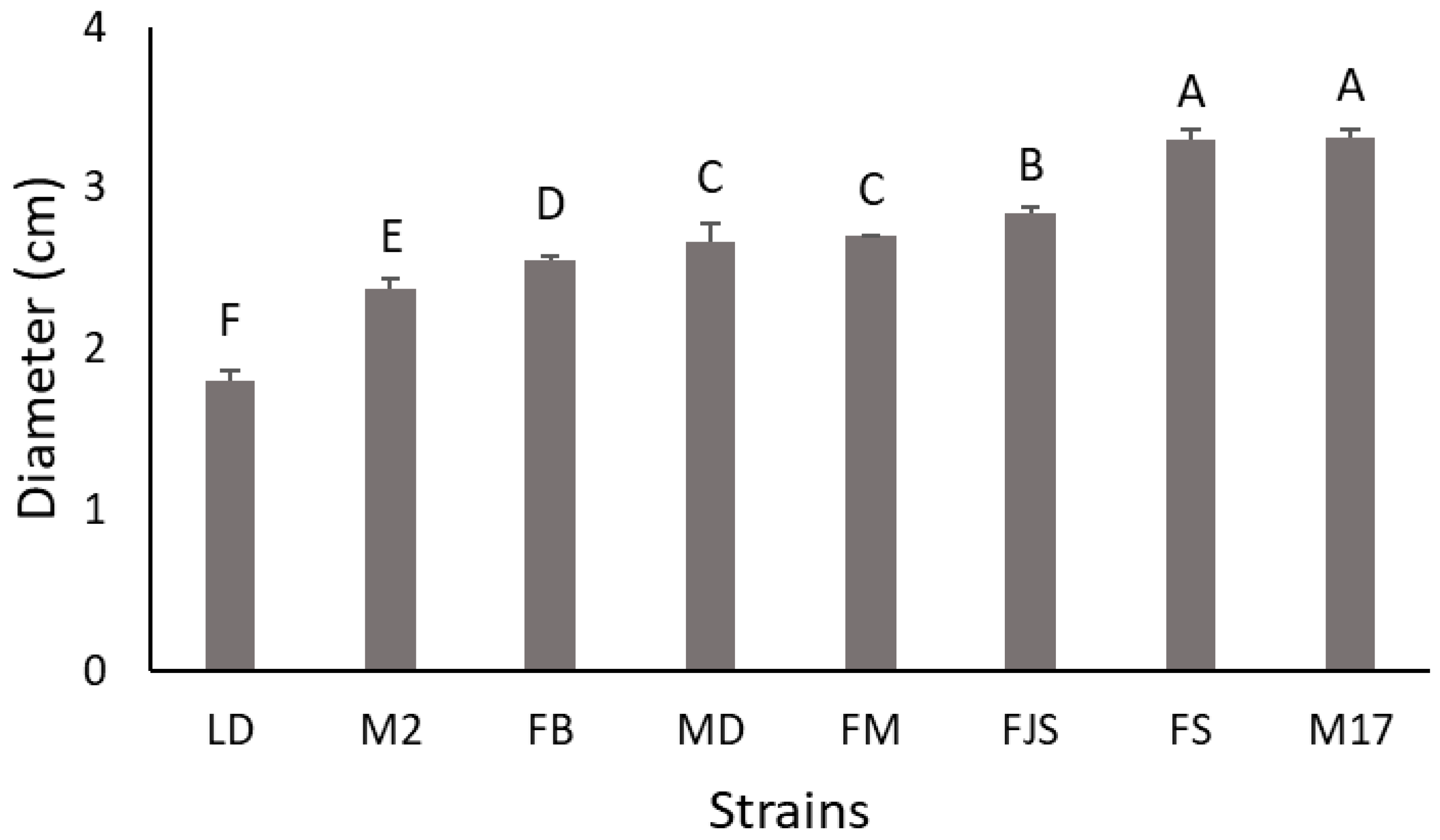 Plants 15 00165 g001