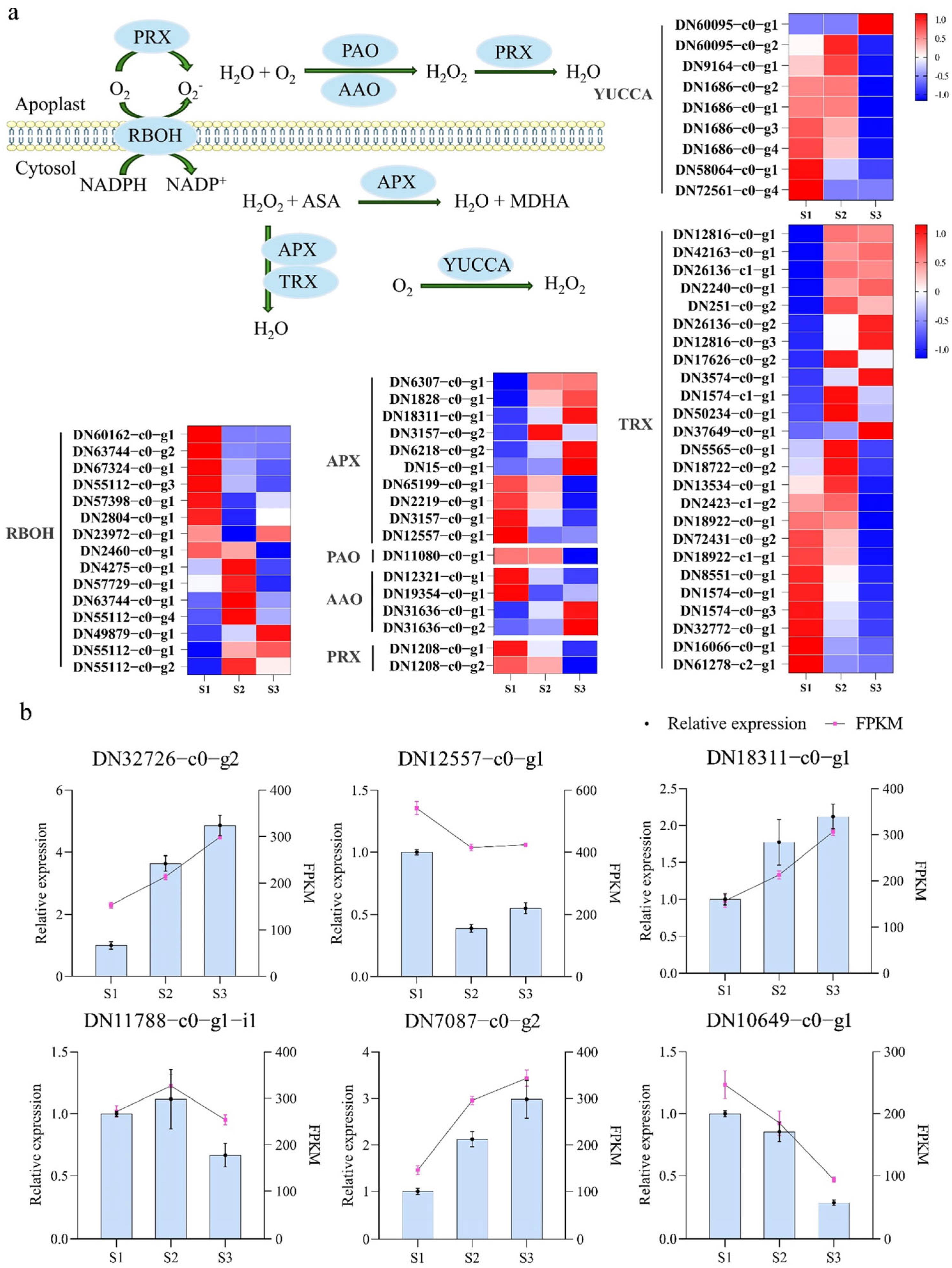 Plants 15 00168 g002