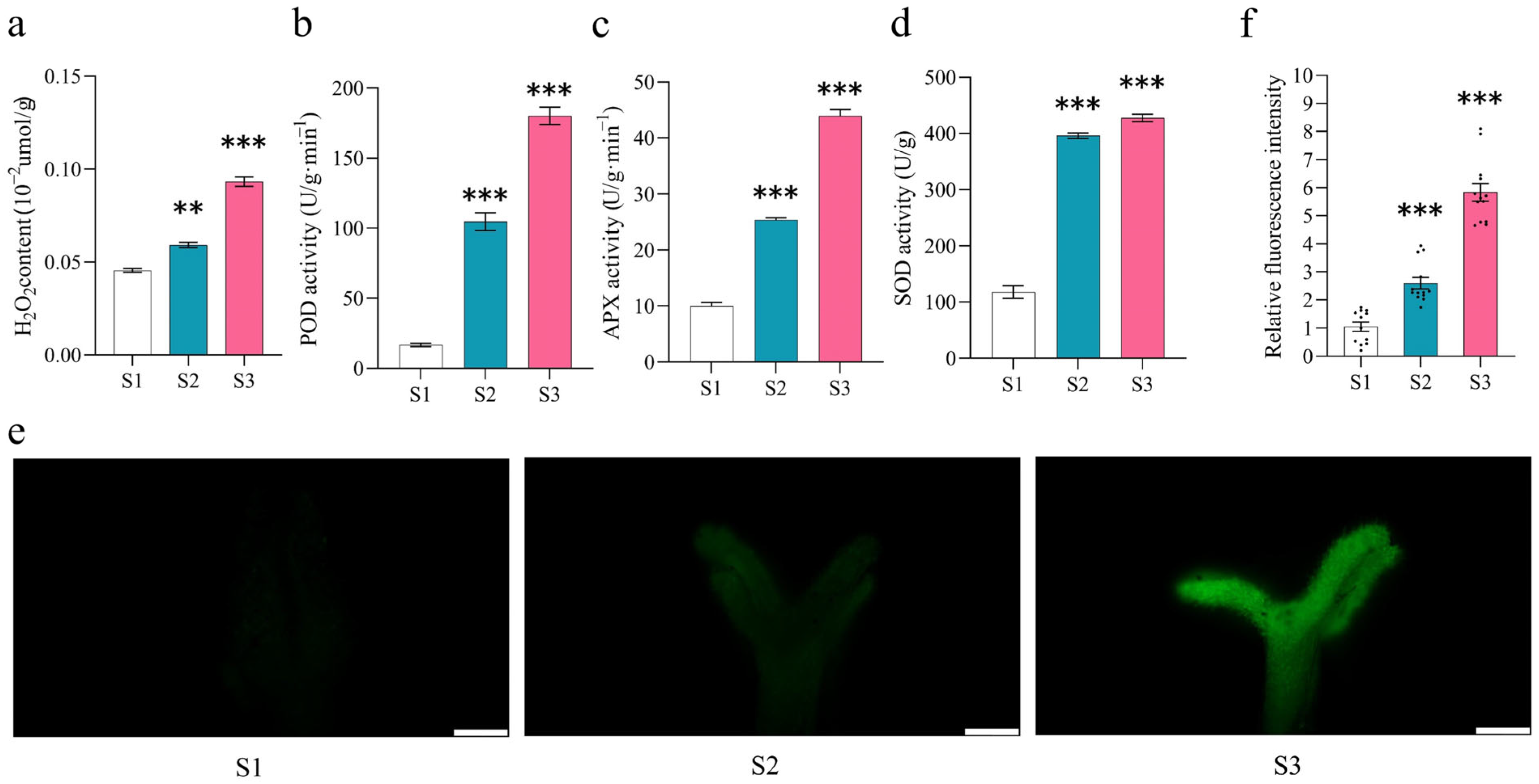 Plants 15 00168 g003