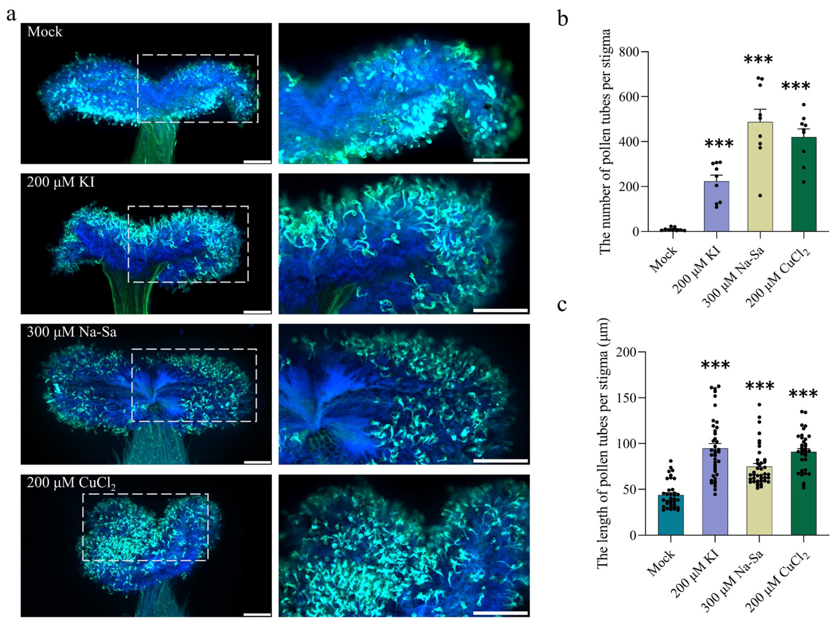 Plants 15 00168 g006