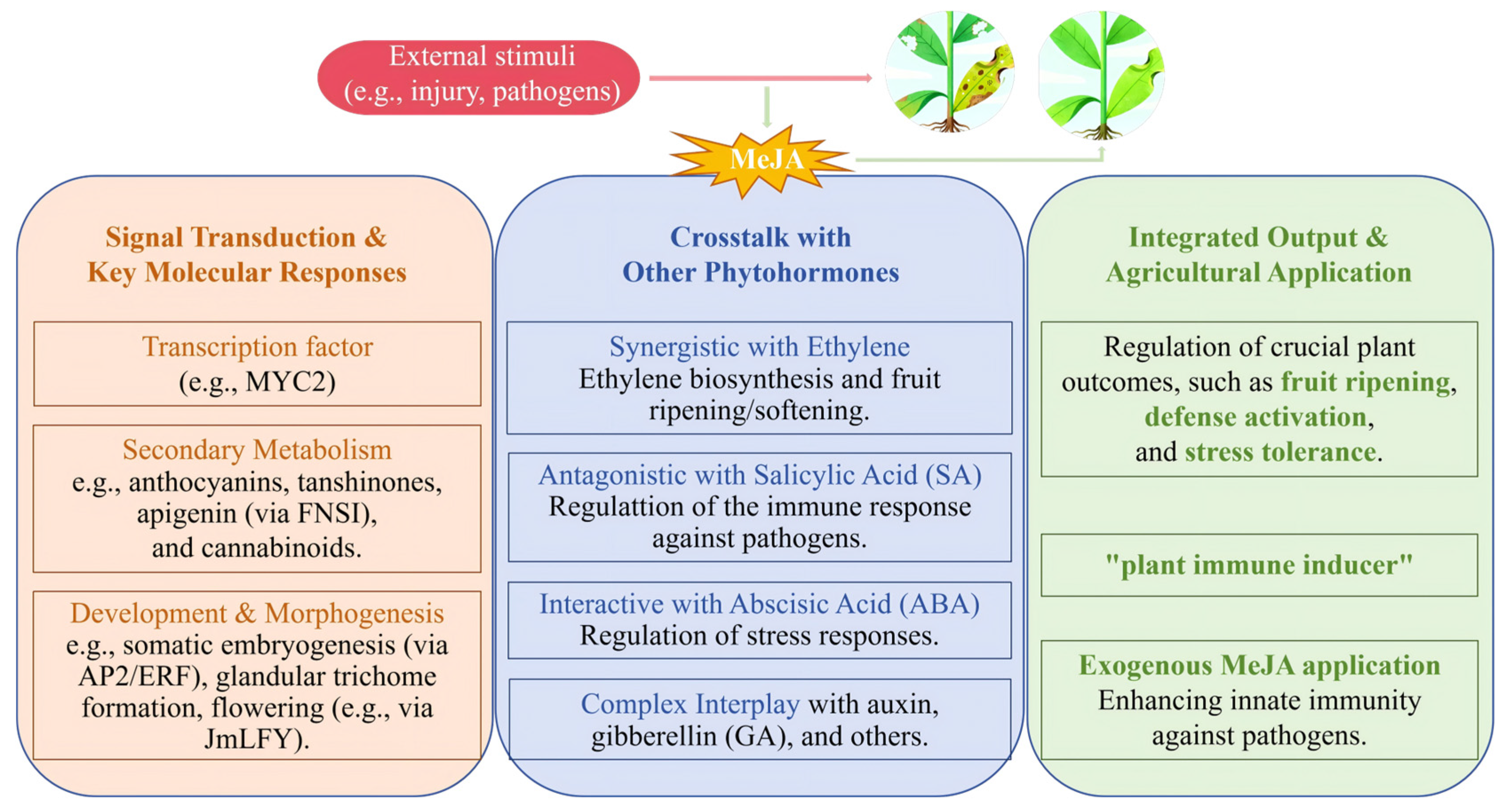 Plants 15 00169 g003