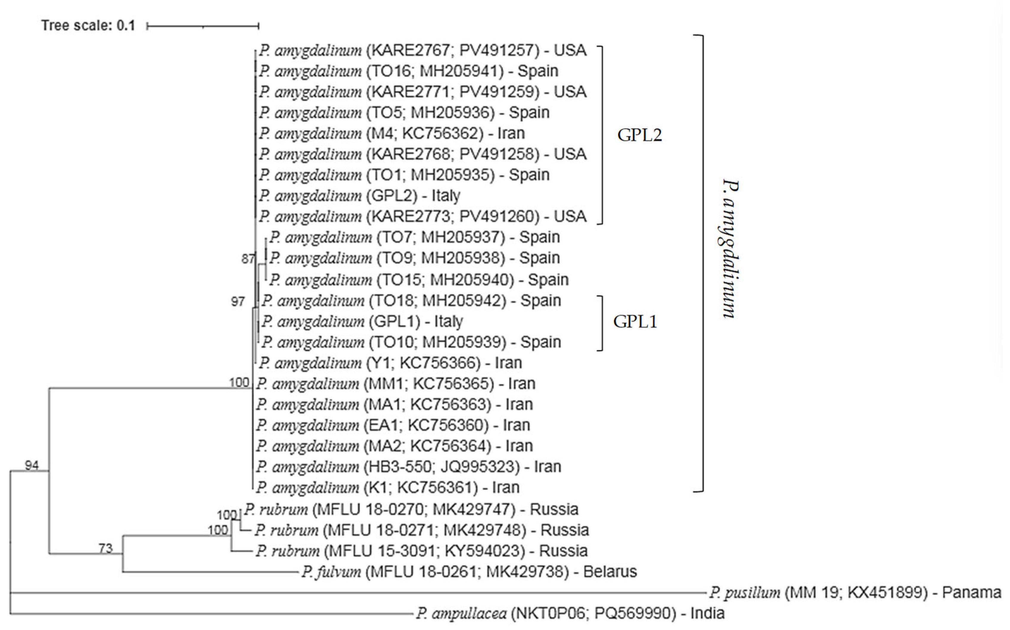 Plants 15 00188 g004
