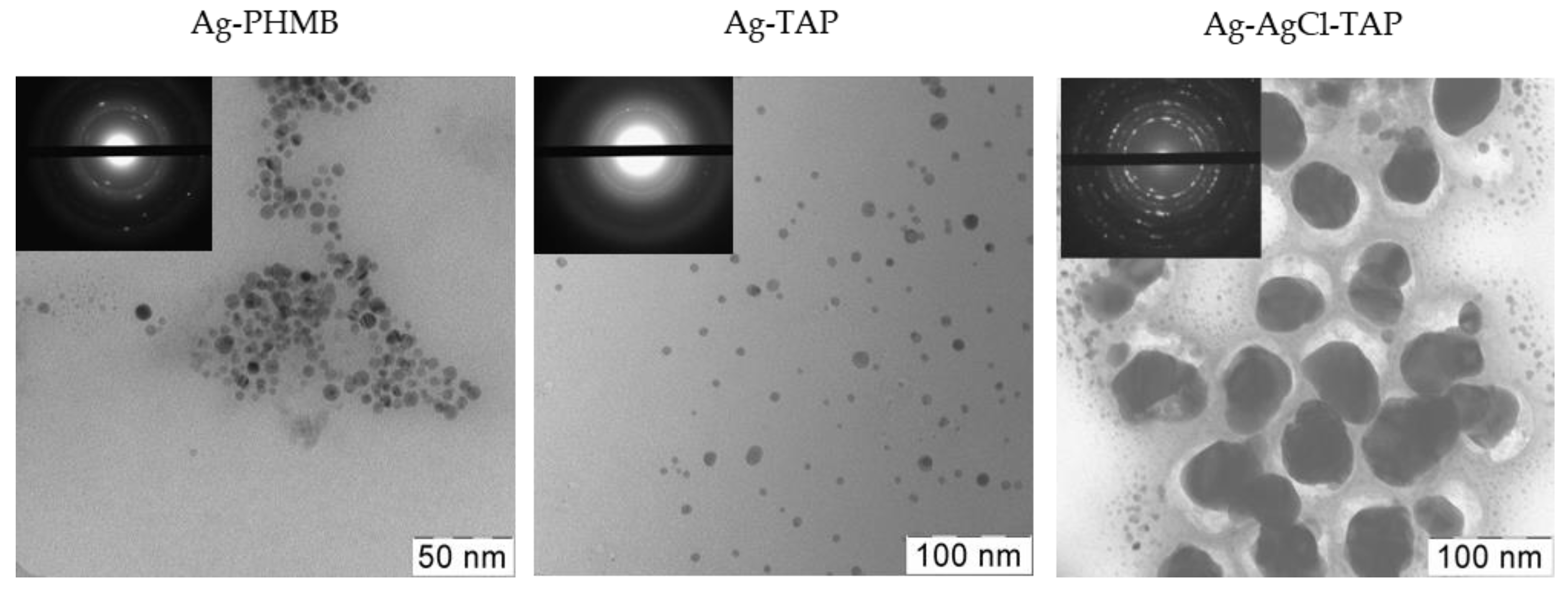 Plants 15 00203 g003