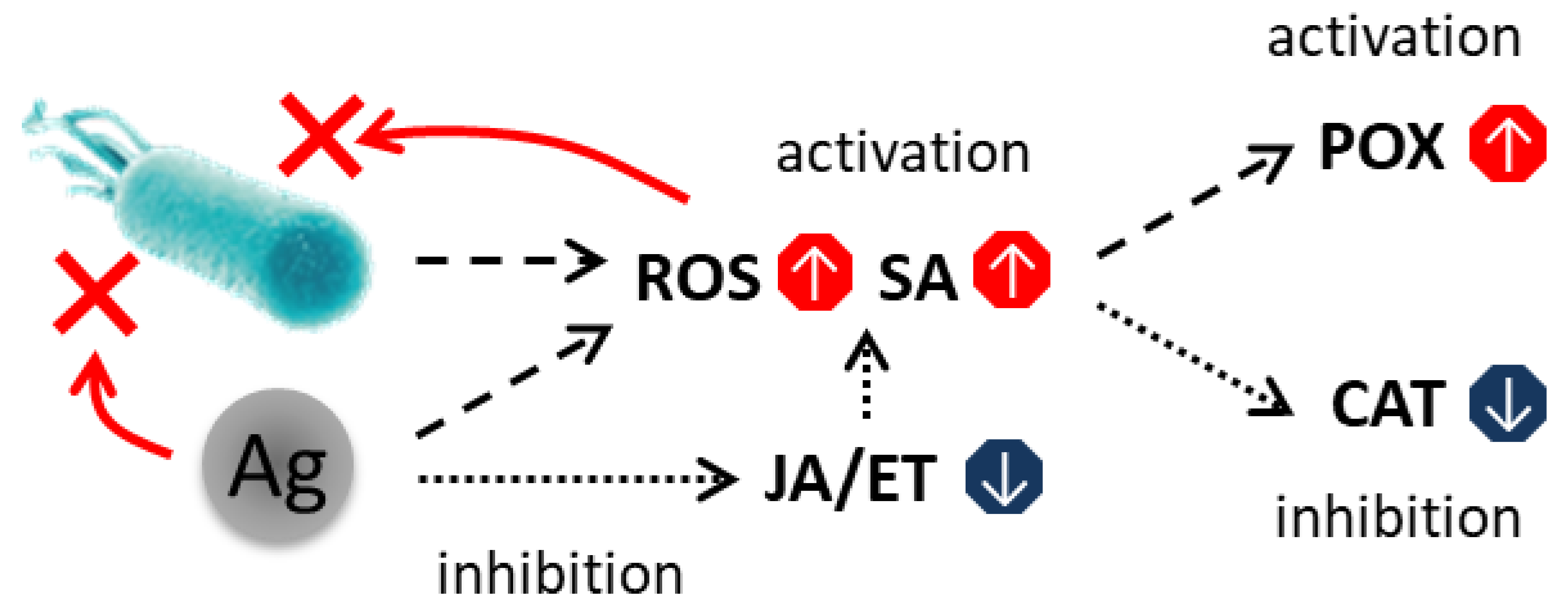 Plants 15 00203 g010