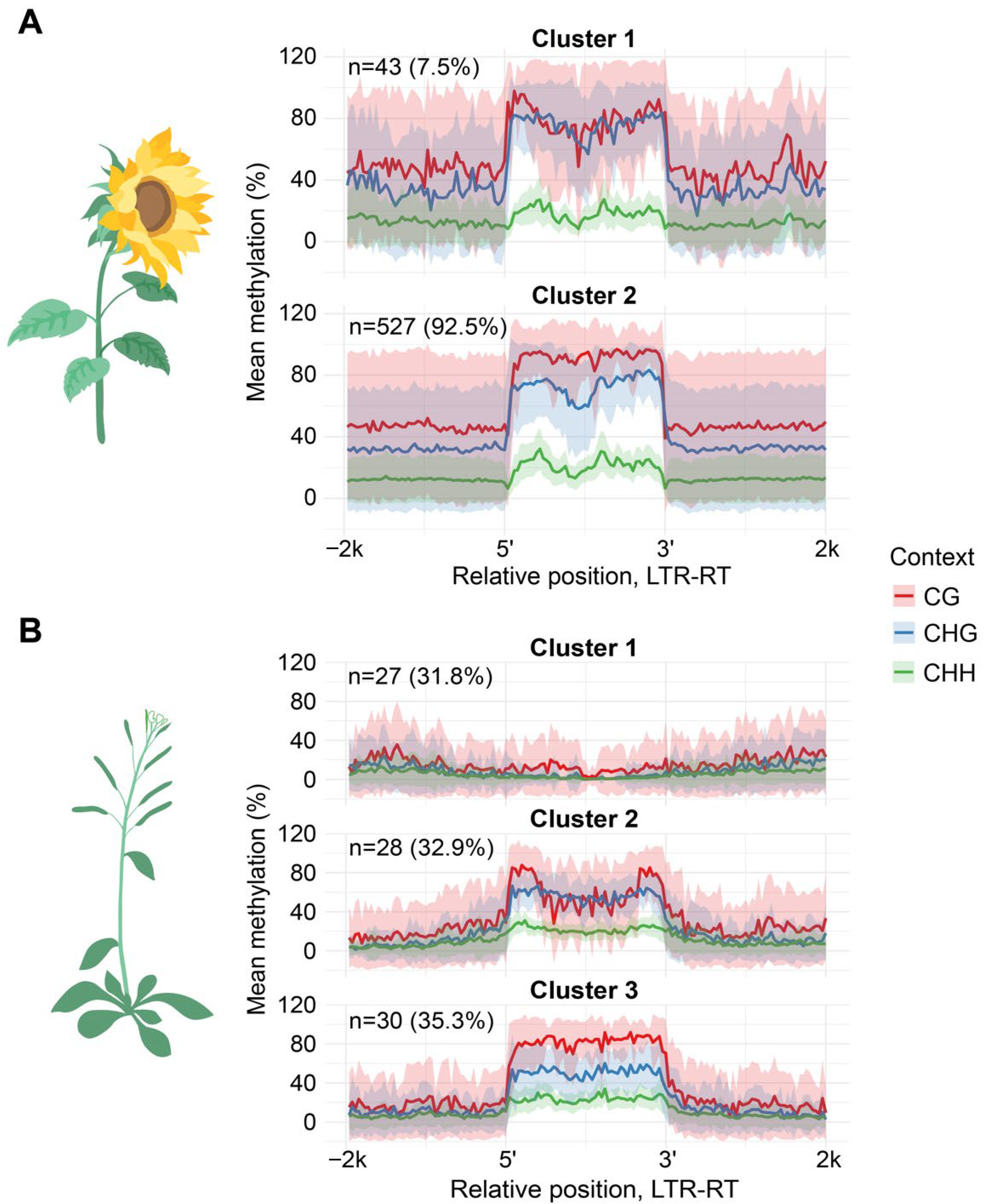 Plants 15 00204 g004