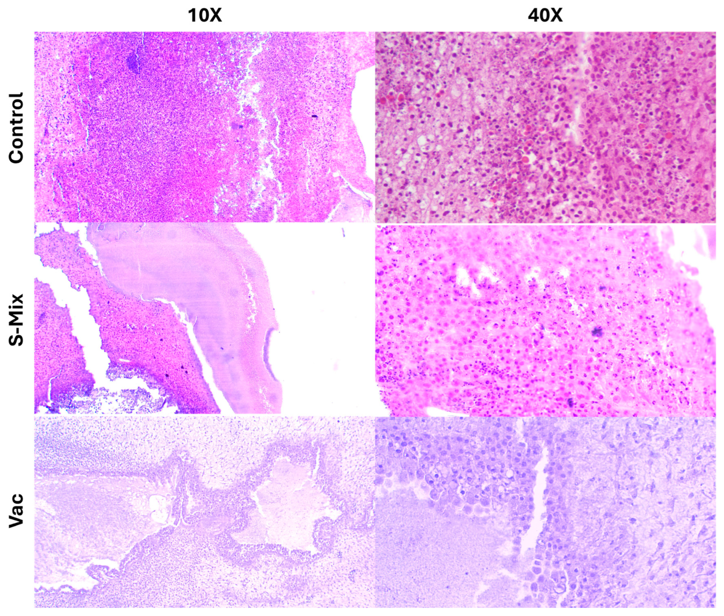 Plants 15 00211 g007