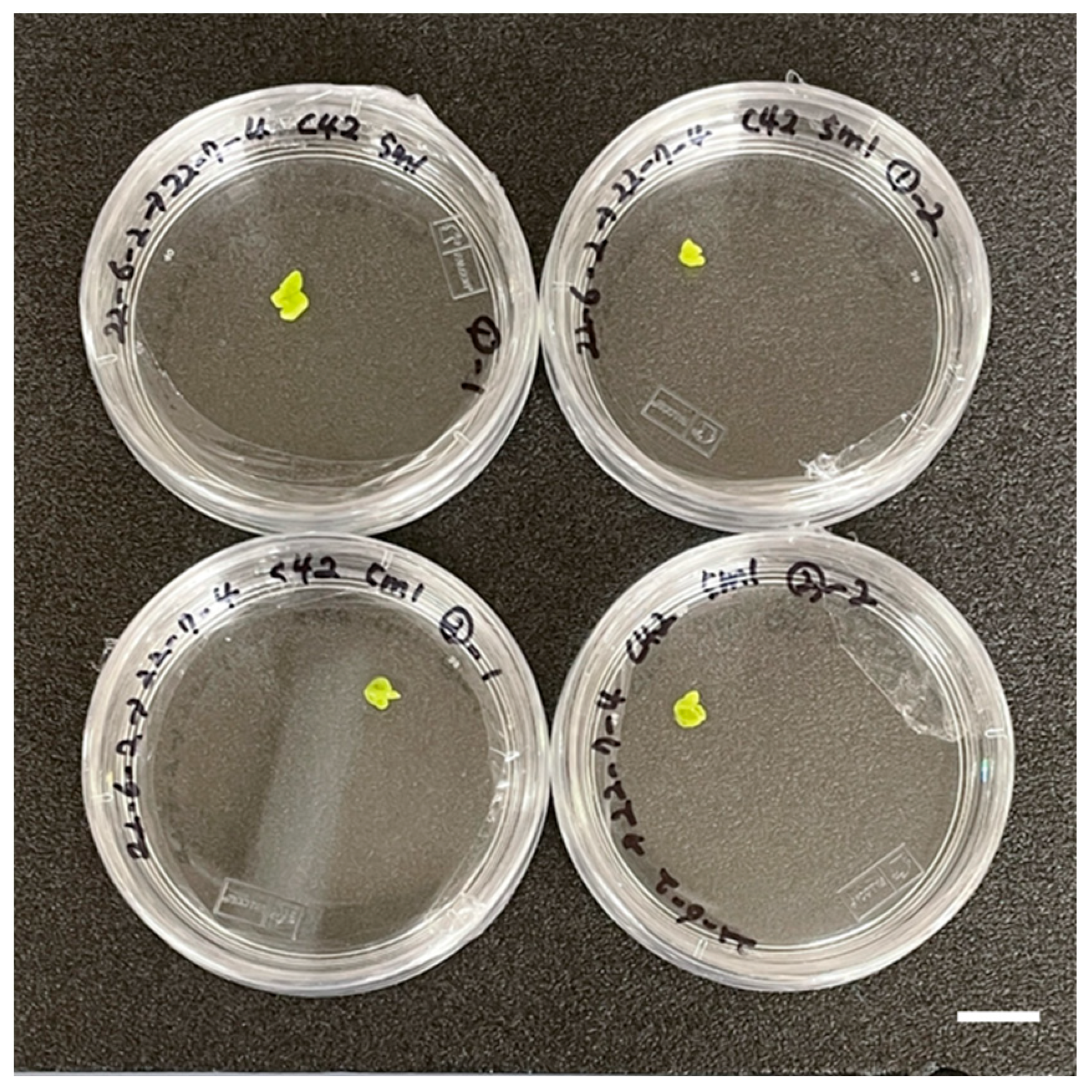 Plants 15 00221 g003