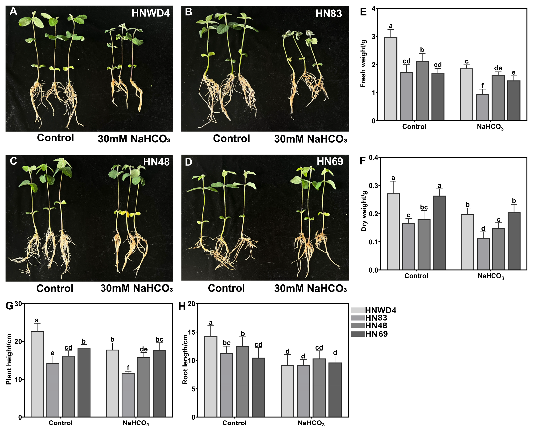 Plants 15 00222 g001 Plants 15 00222 g001