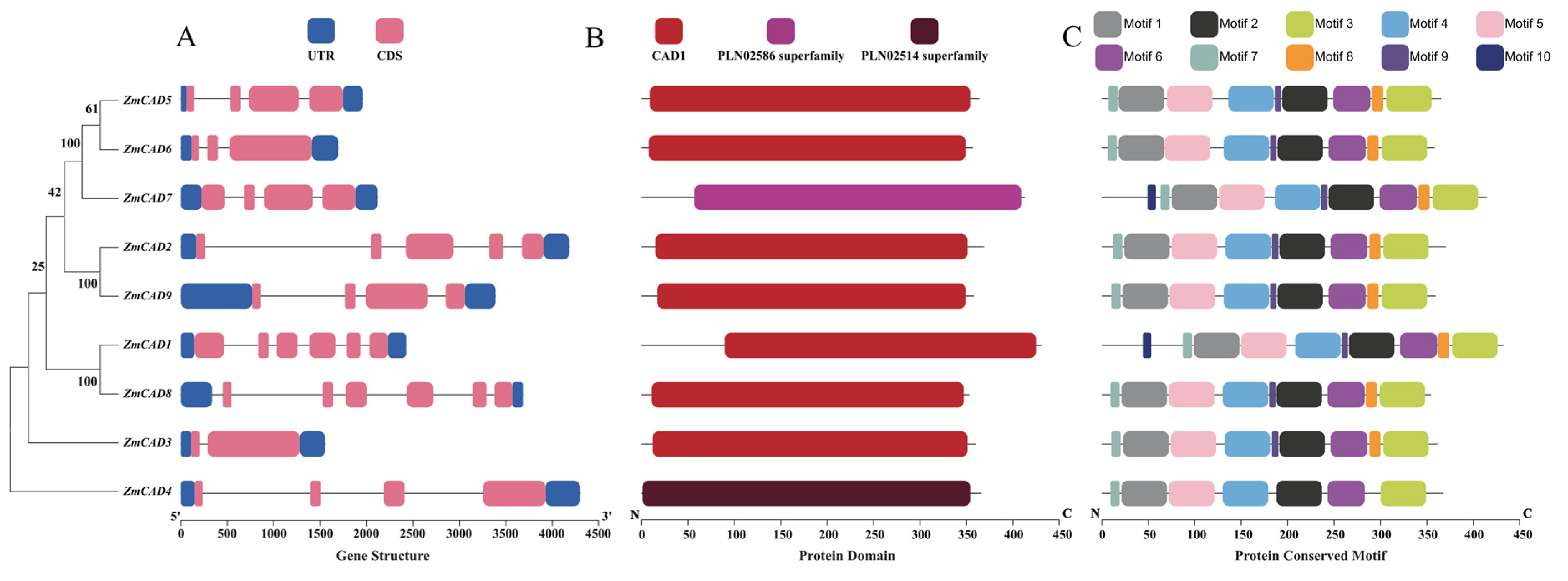 Plants 15 00241 g002 Plants 15 00241 g002