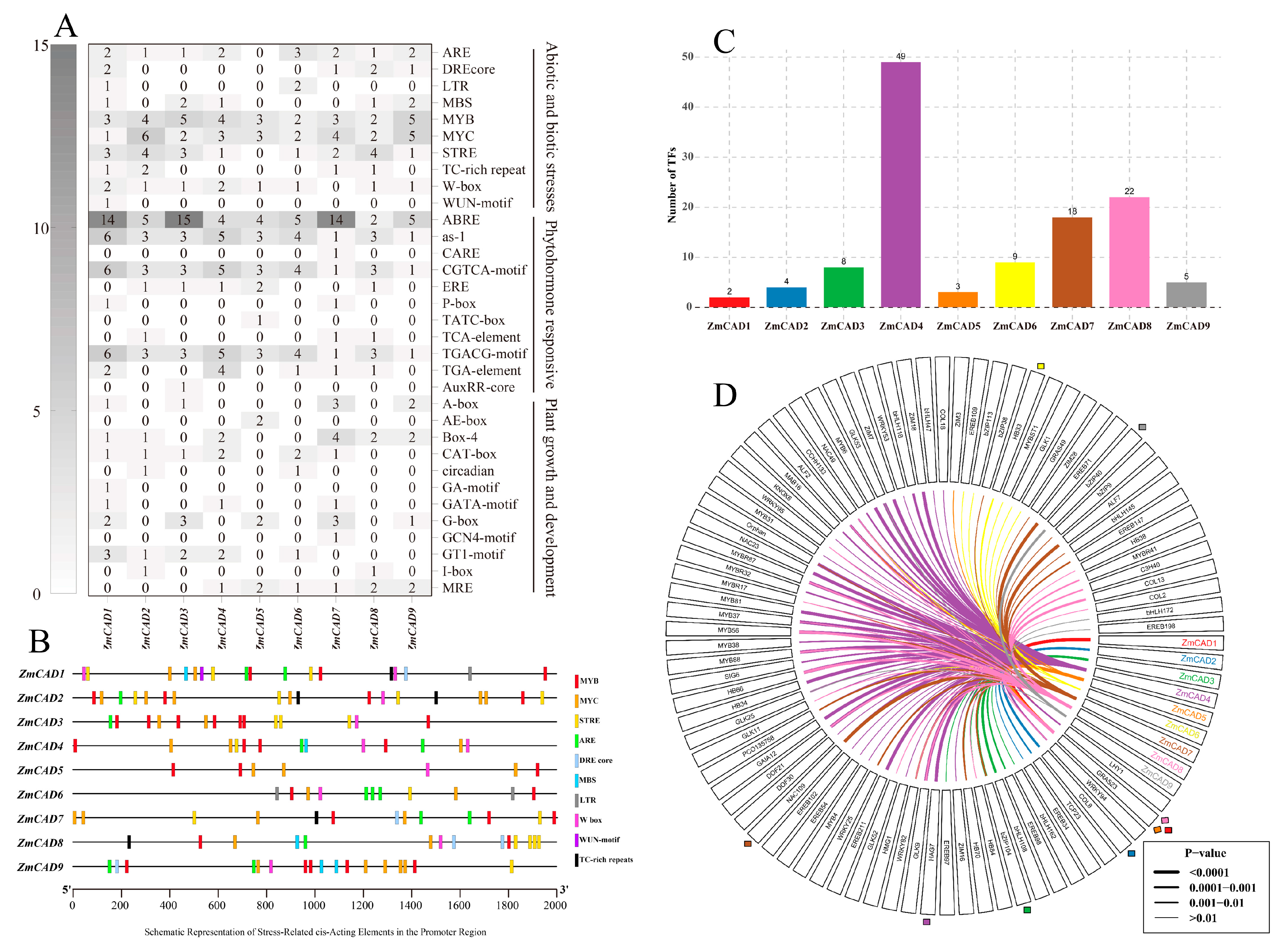 Plants 15 00241 g004 Plants 15 00241 g004