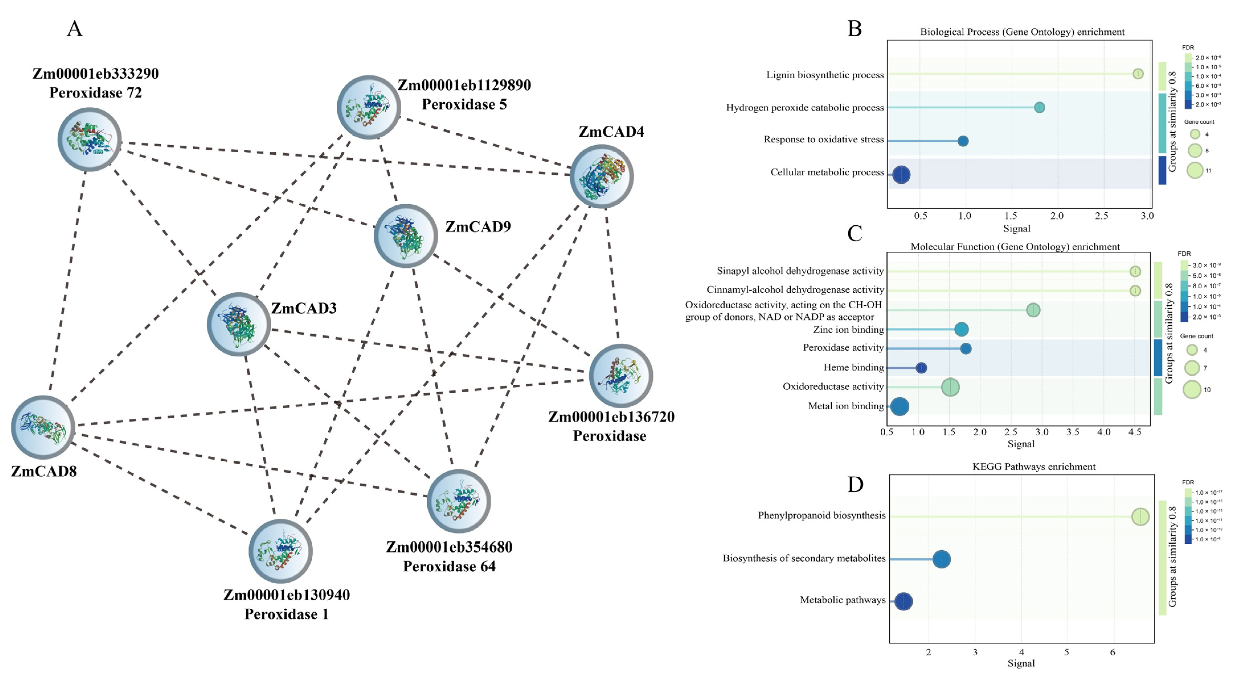 Plants 15 00241 g006 Plants 15 00241 g006