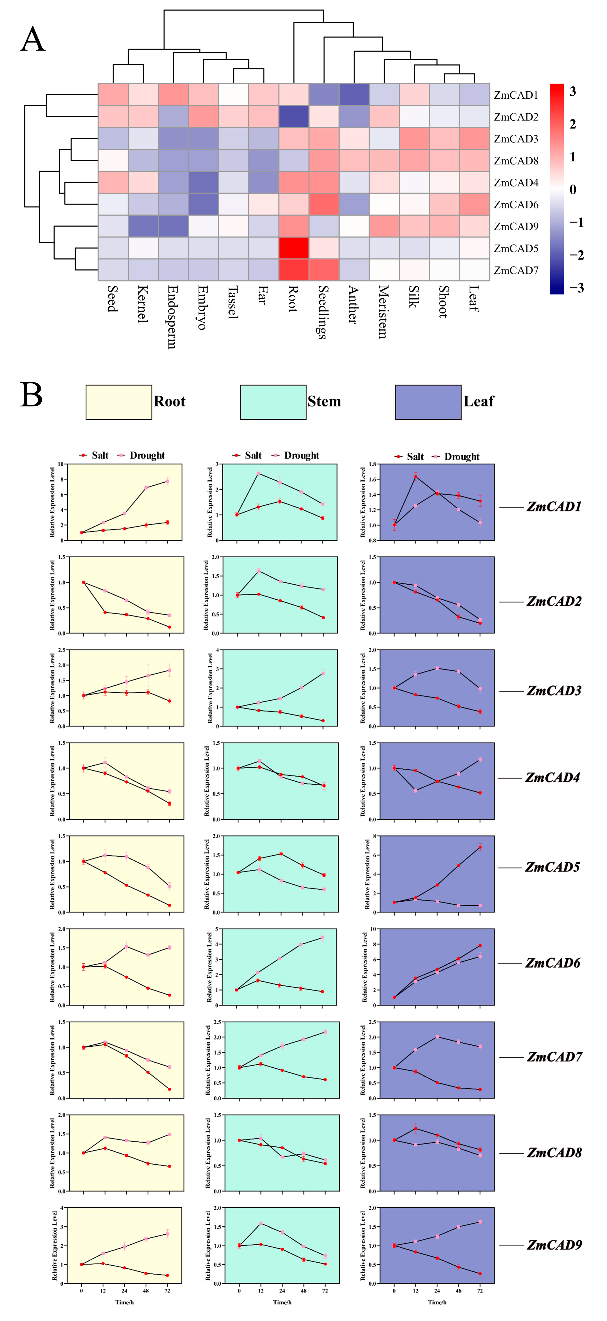 Plants 15 00241 g007 Plants 15 00241 g007