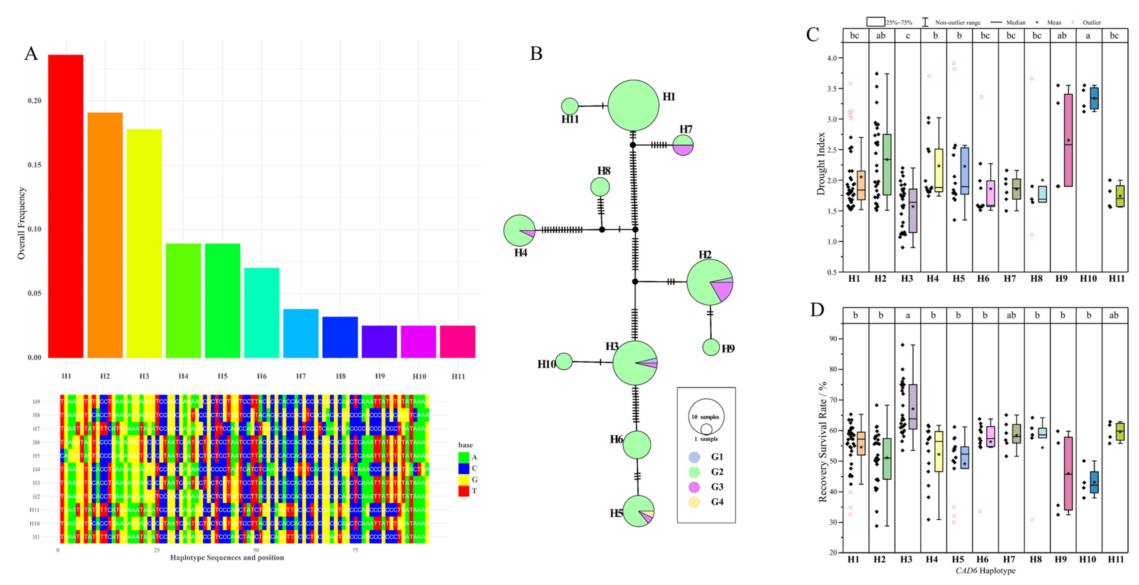 Plants 15 00241 g008 Plants 15 00241 g008