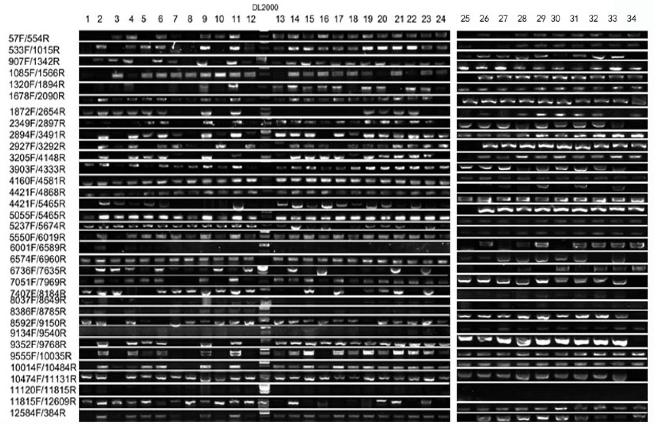 Plants 15 00266 g005