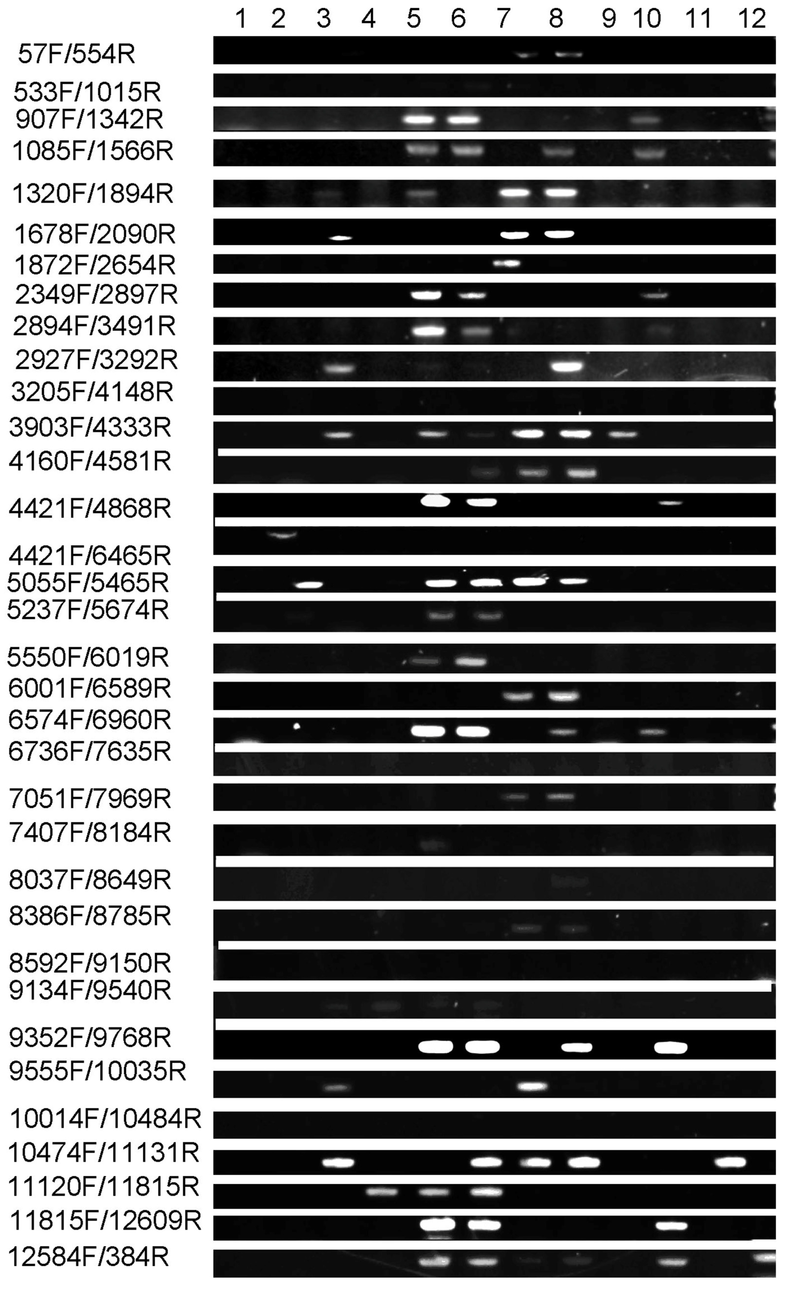 Plants 15 00266 g006