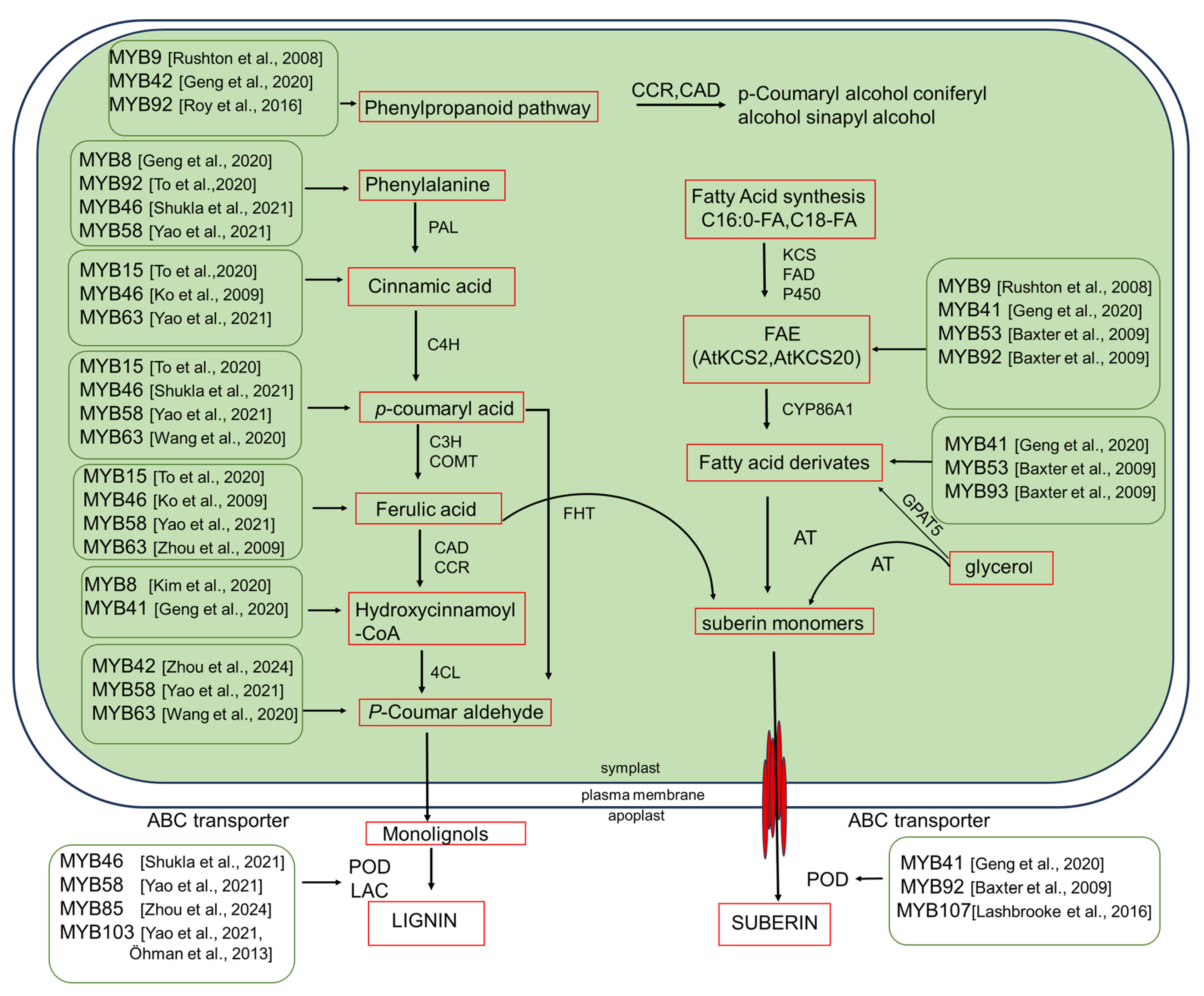 Plants 15 00275 g002