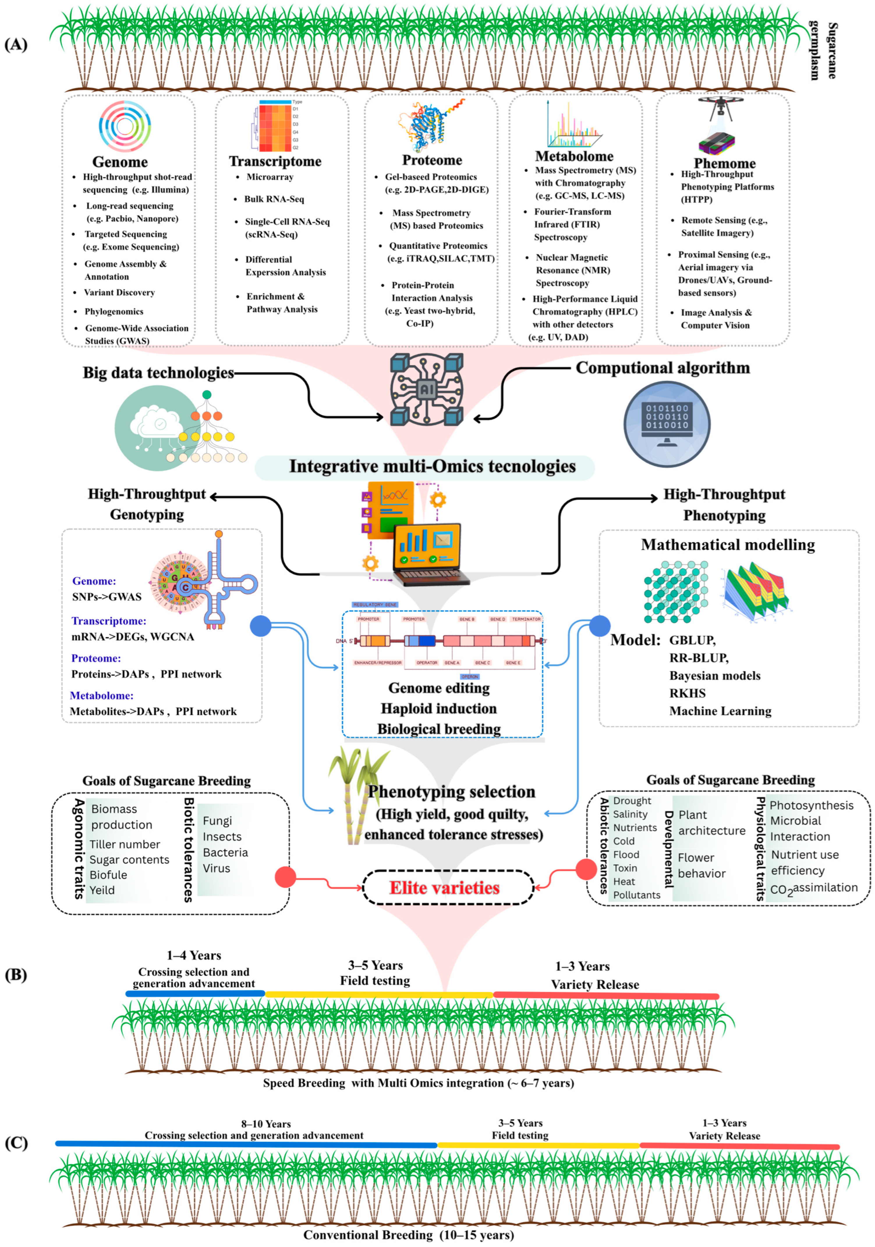 Plants 15 00286 g001