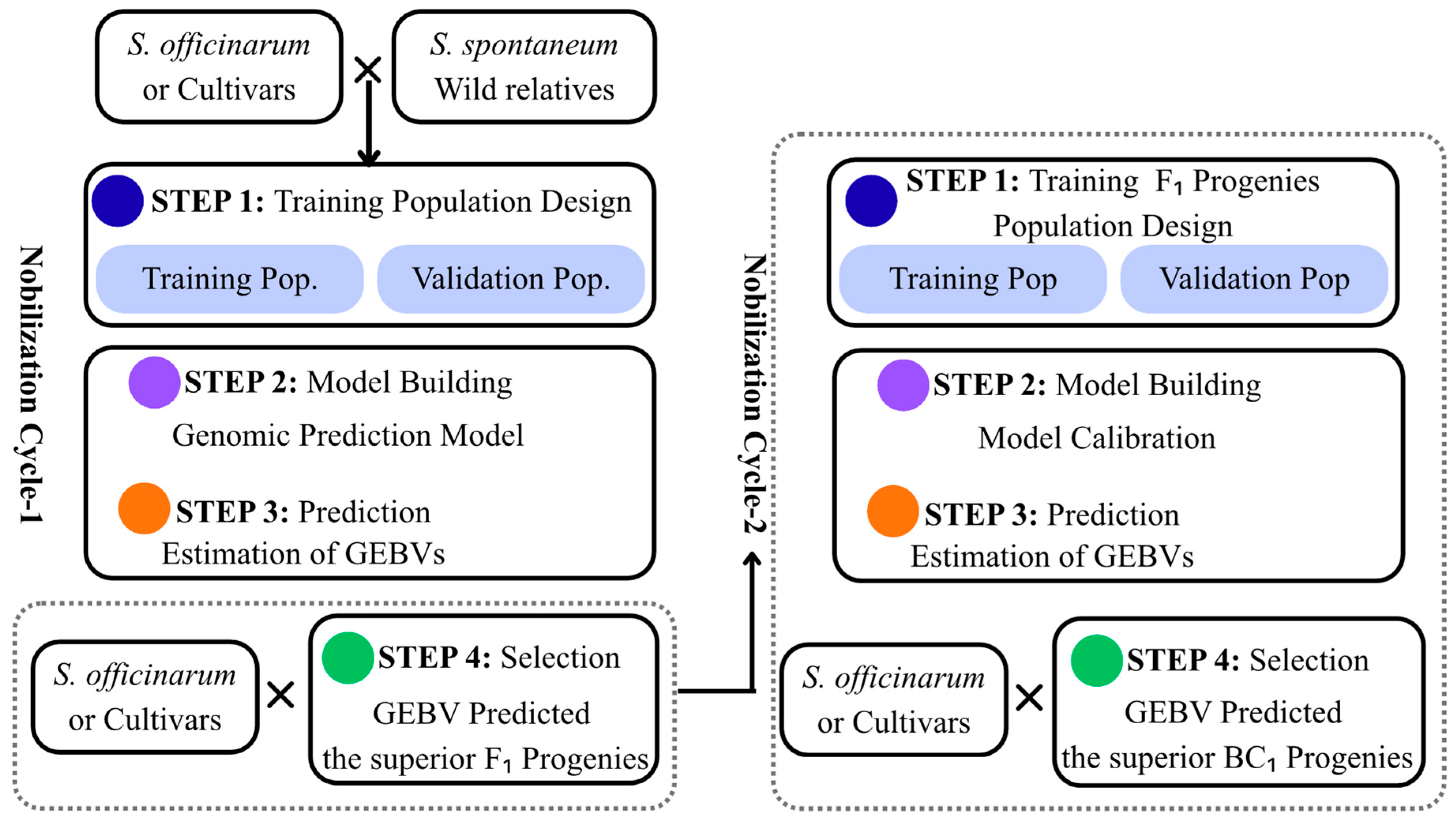 Plants 15 00286 g002