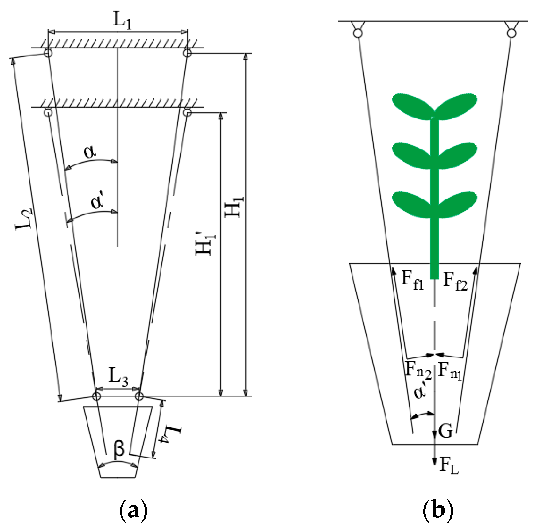 Plants 15 00291 g004