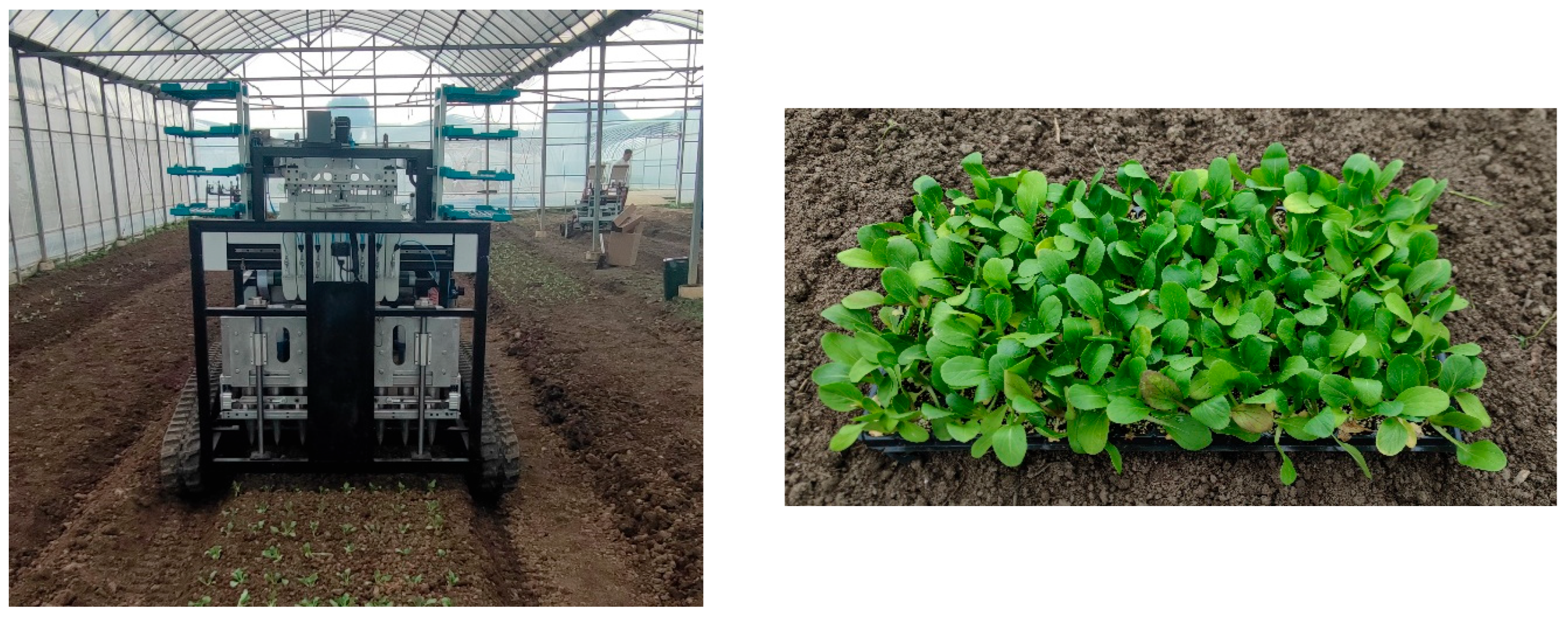 Plants 15 00291 g022