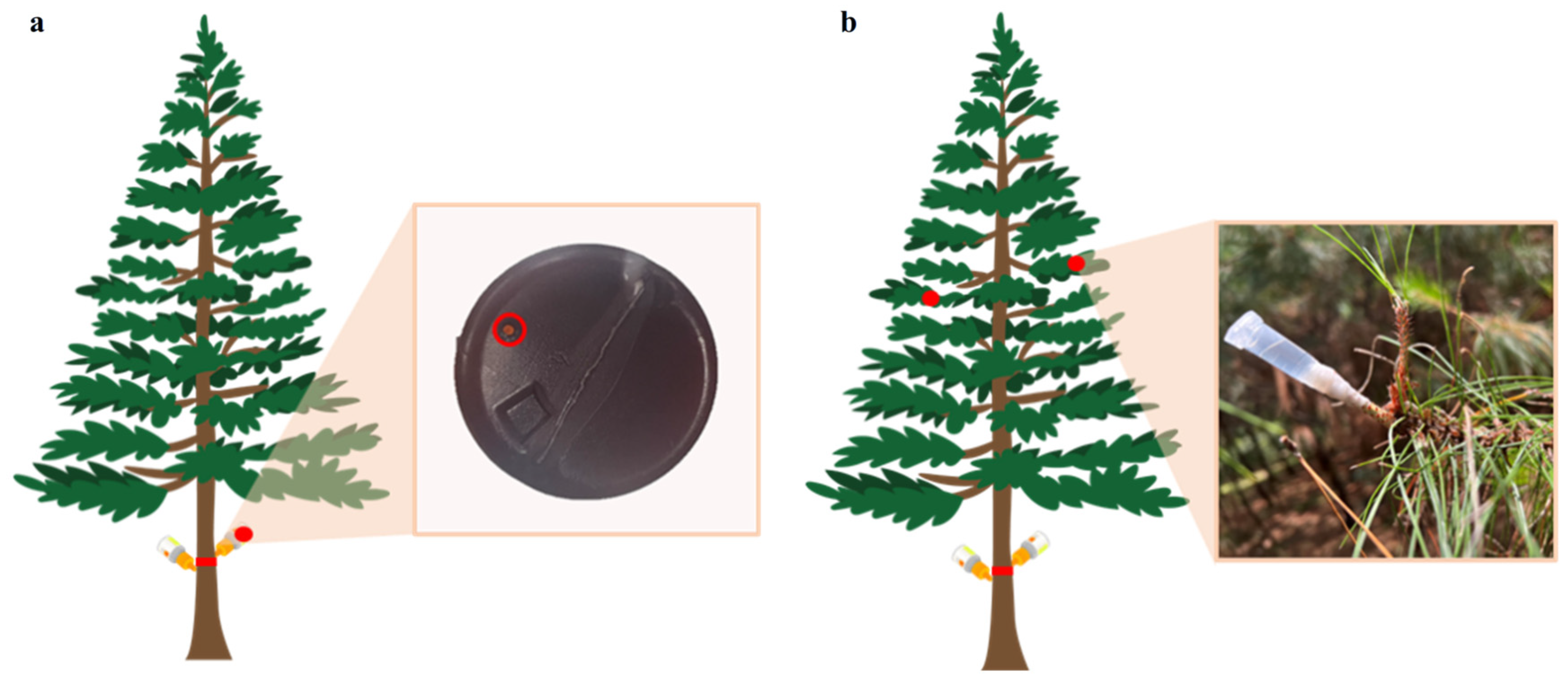 Plants 15 00302 g005