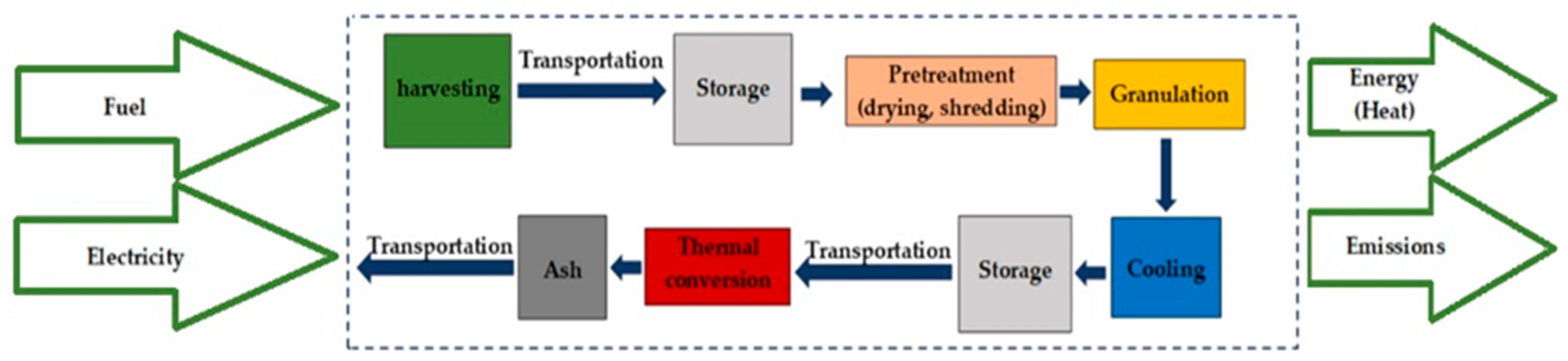 Plants 15 00303 g001