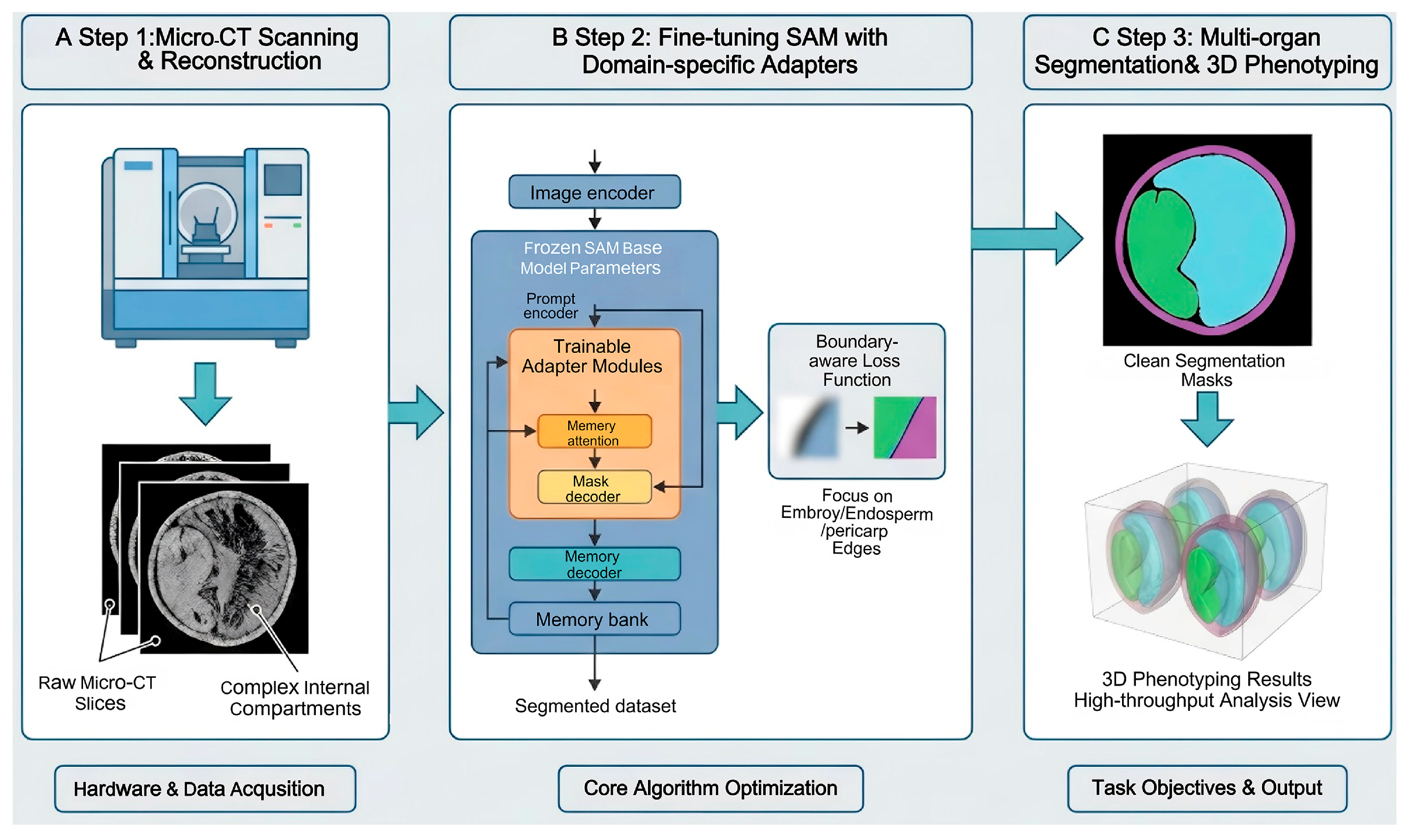 Plants 15 00320 g002 Plants 15 00320 g002