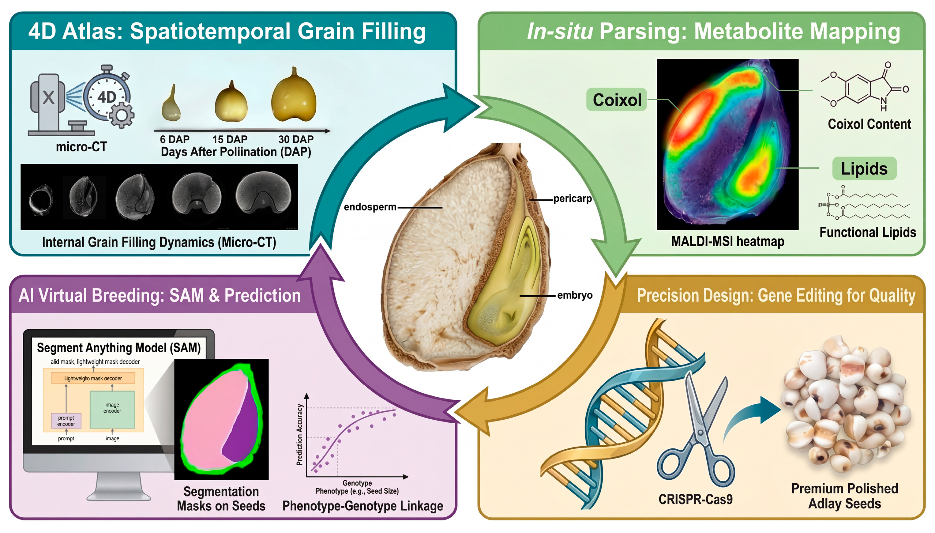 Plants 15 00320 g003 Plants 15 00320 g003