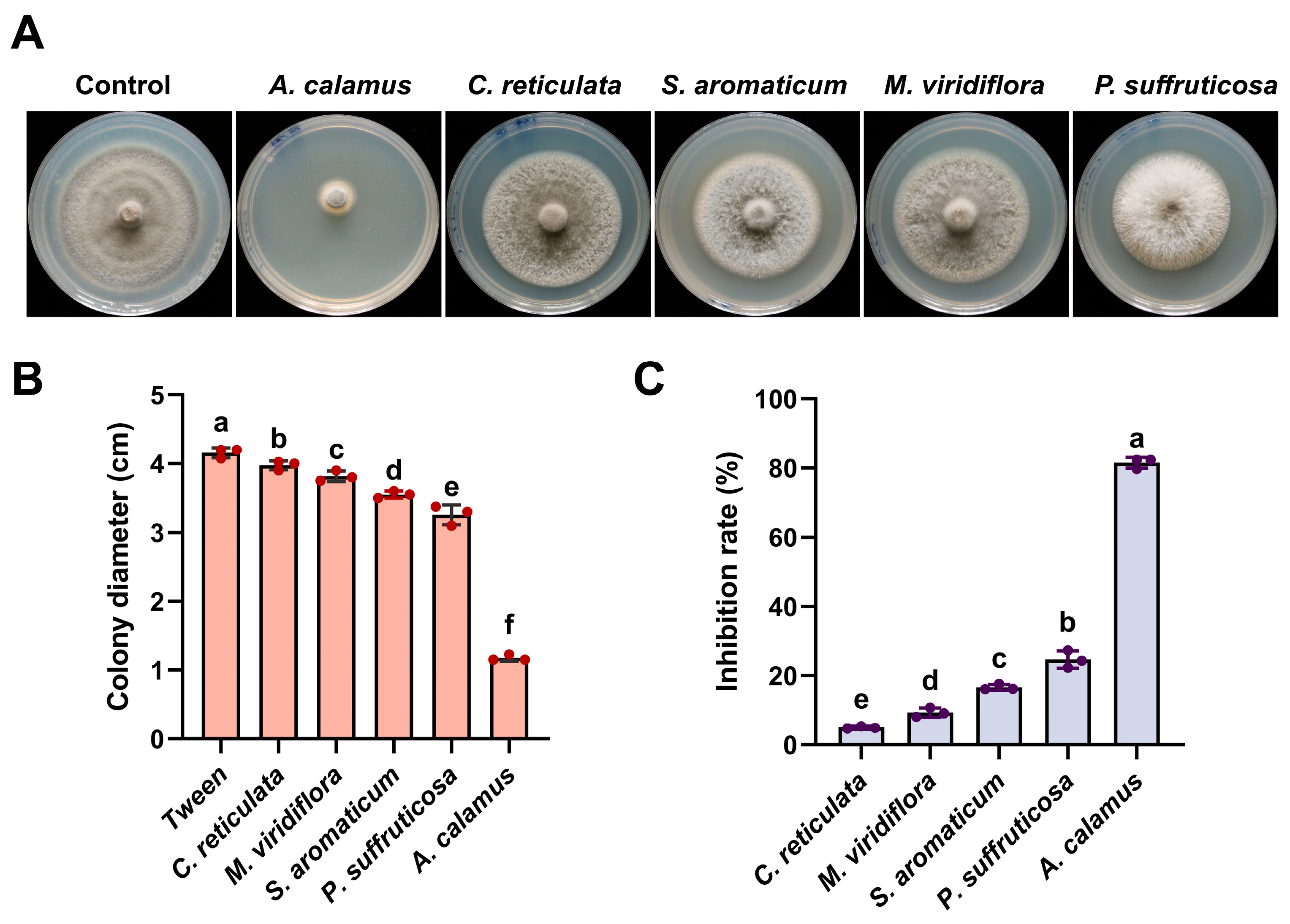 Plants 15 00332 g001