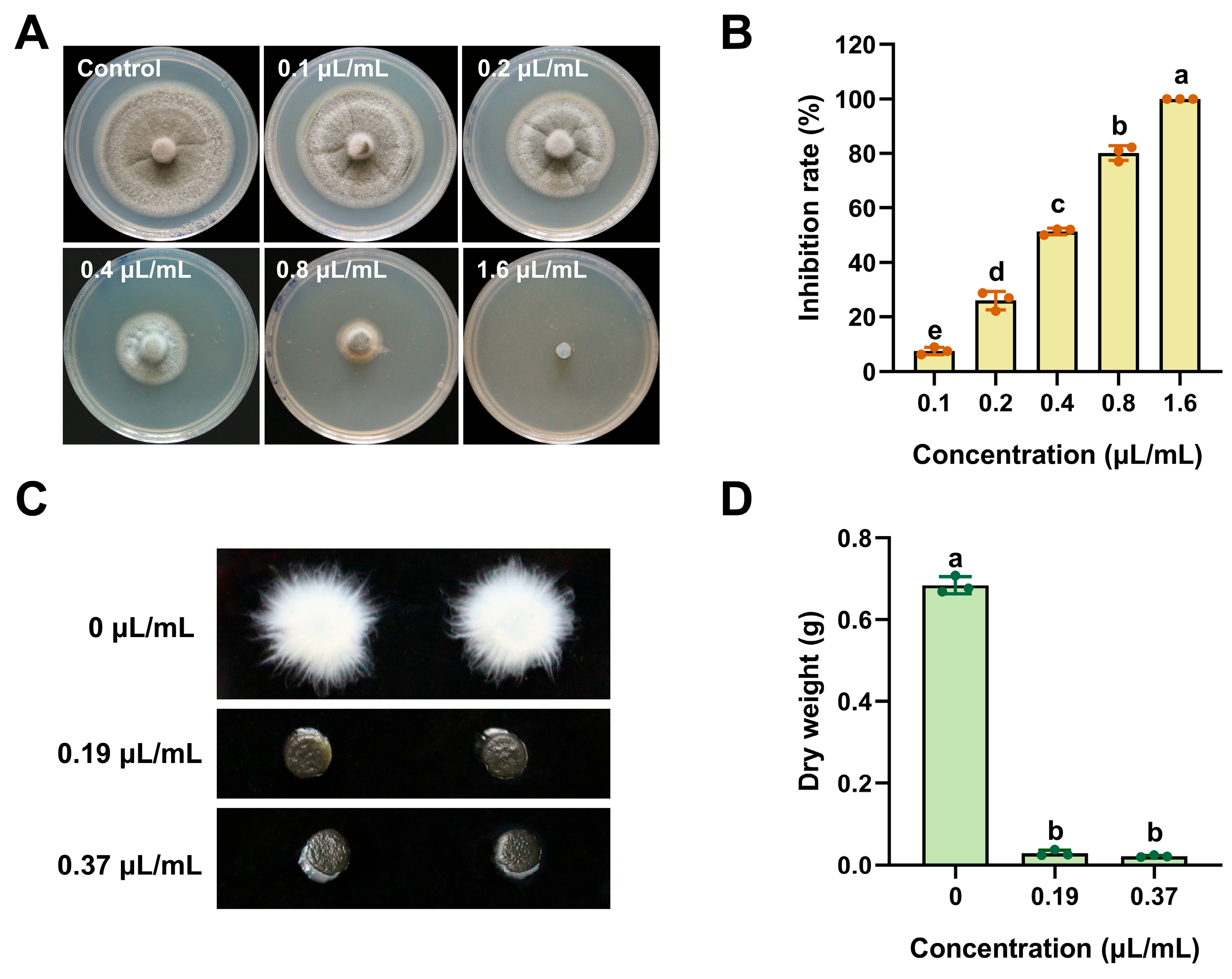 Plants 15 00332 g002