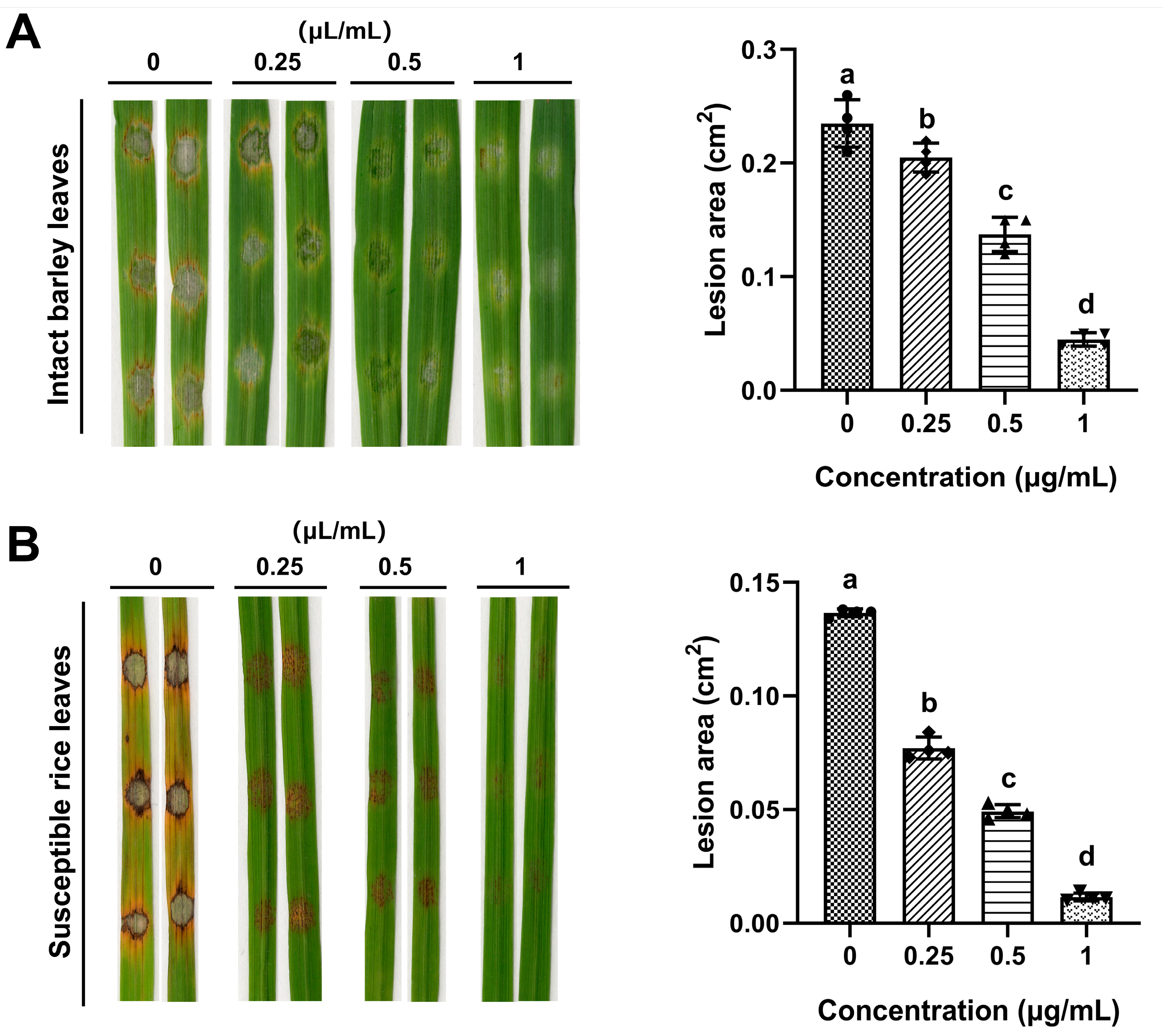 Plants 15 00332 g007