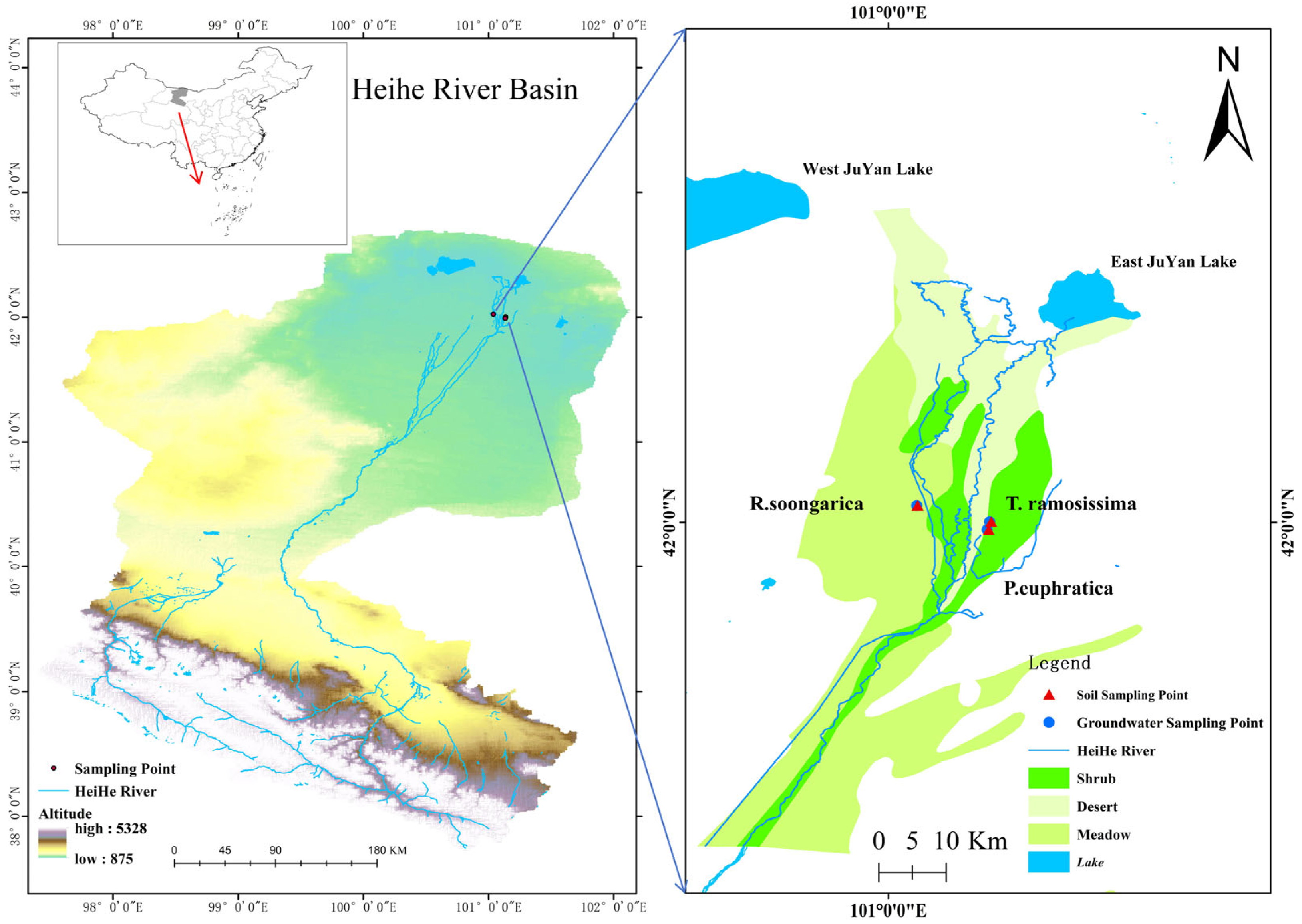Plants 15 00340 g008