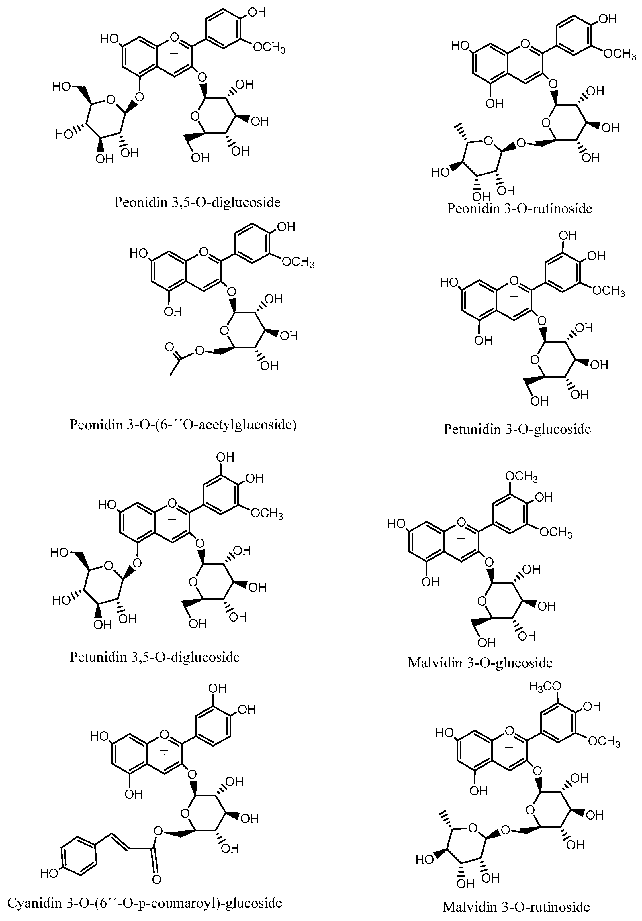 Plants 15 00352 g005