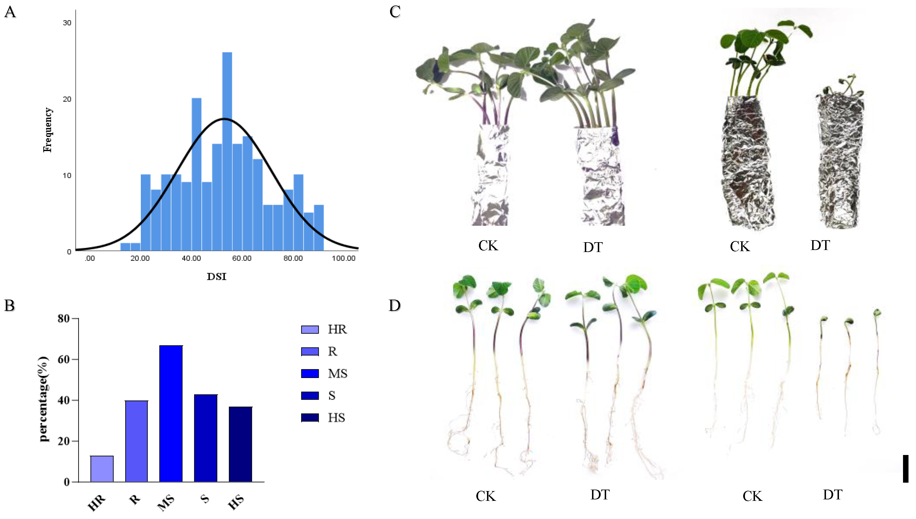 Plants 15 00379 g004 Plants 15 00379 g004