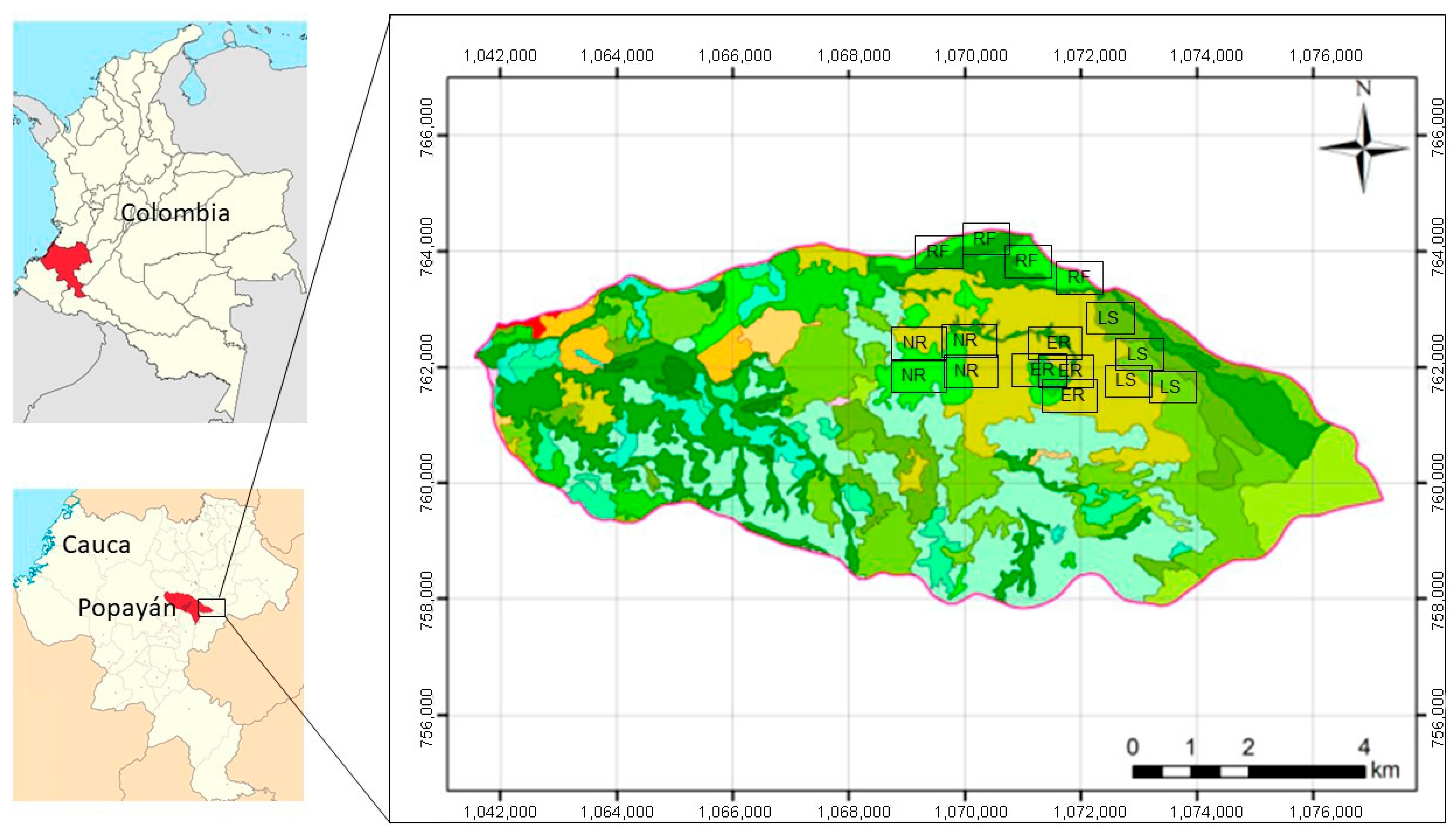 Plants 15 00389 g001