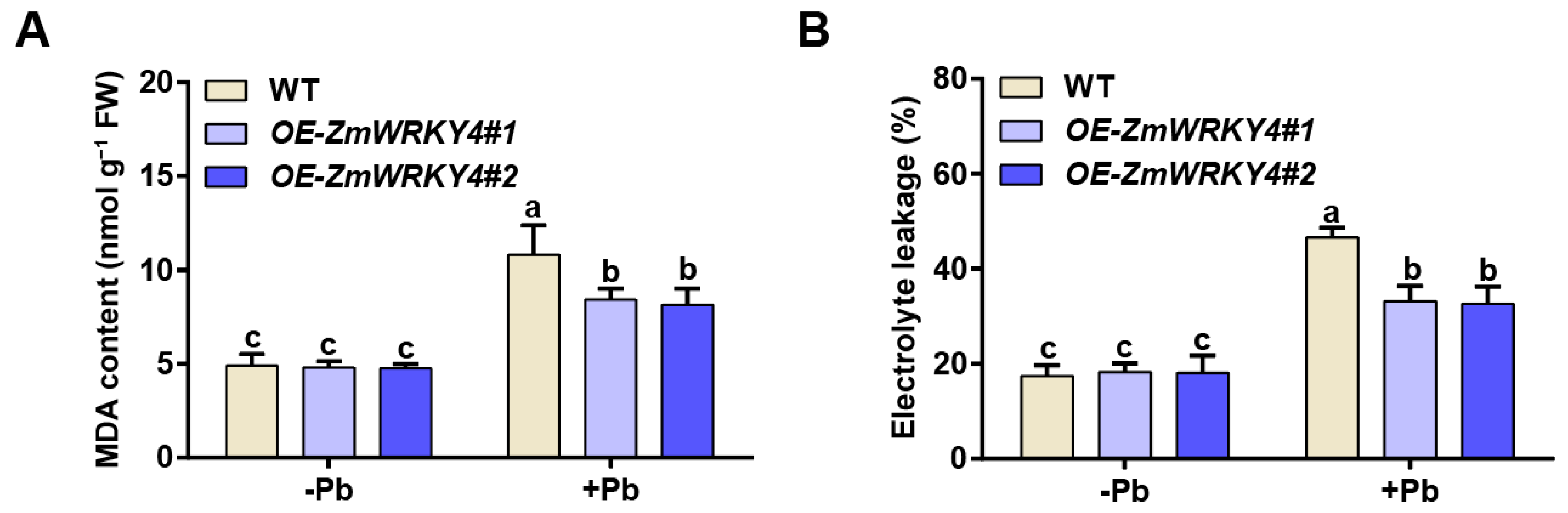 Plants 15 00394 g003