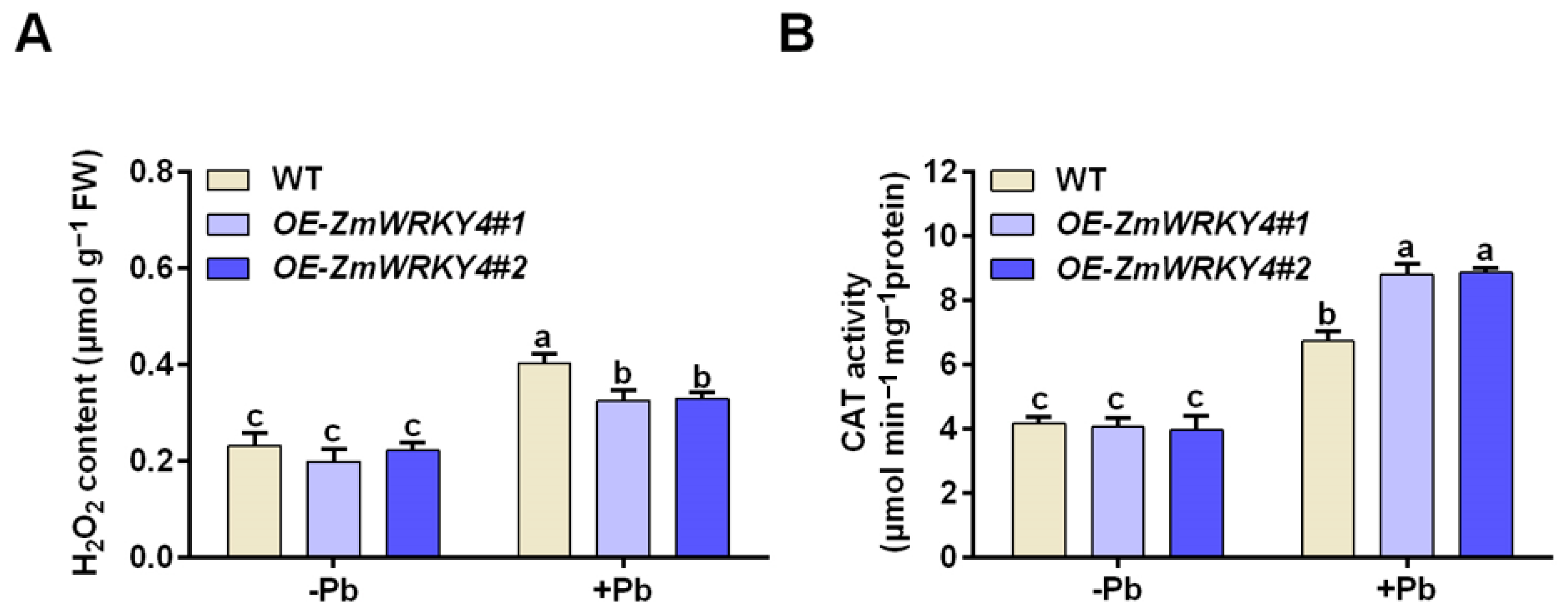 Plants 15 00394 g004