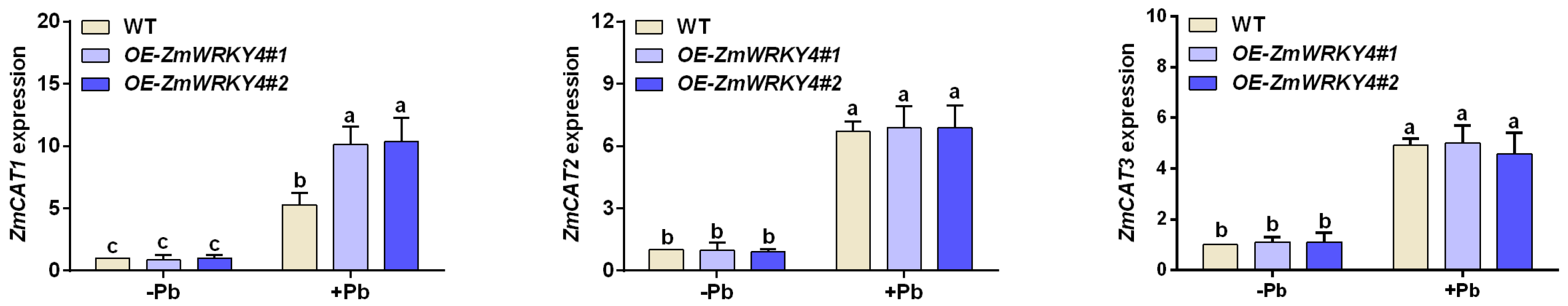 Plants 15 00394 g005