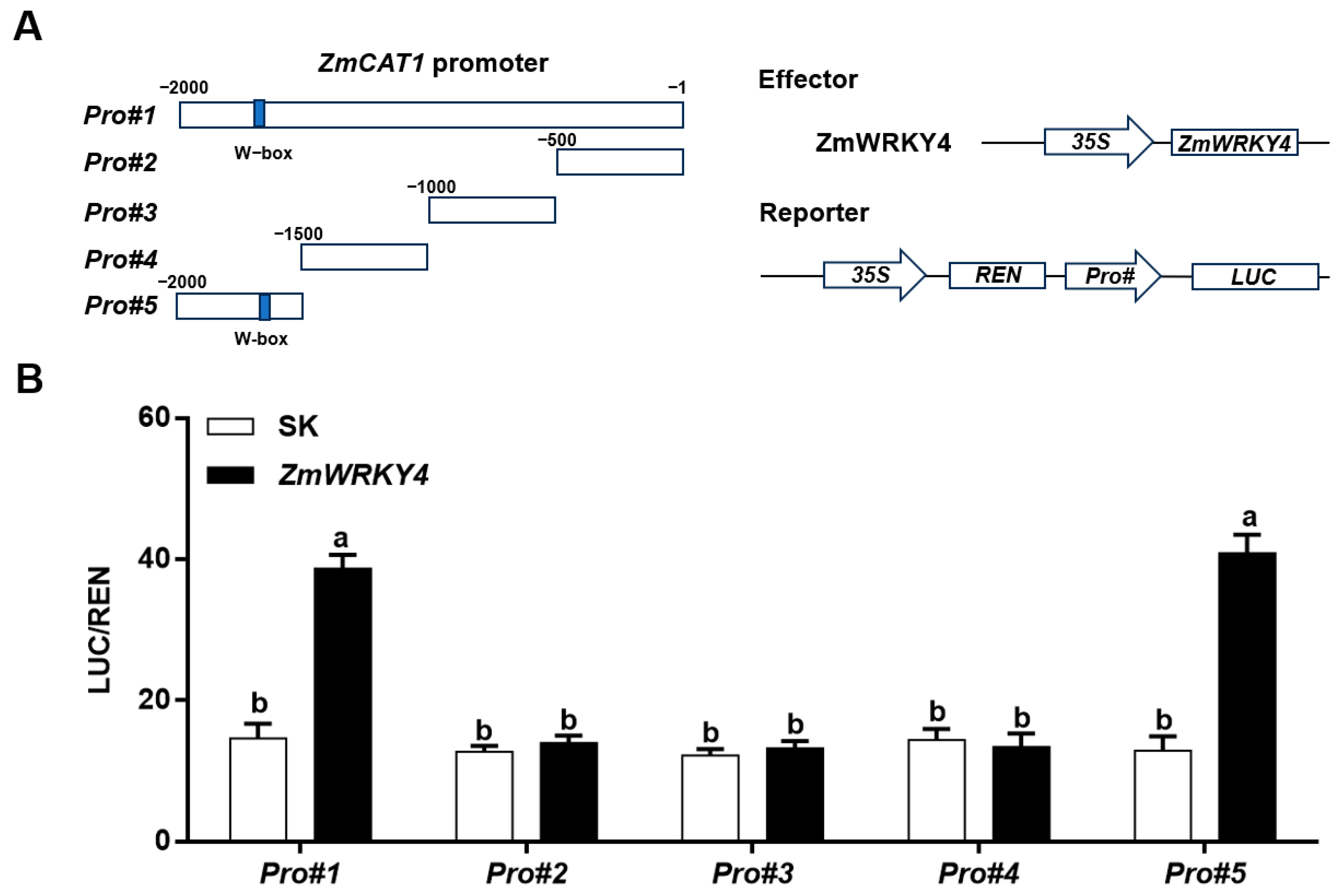 Plants 15 00394 g006