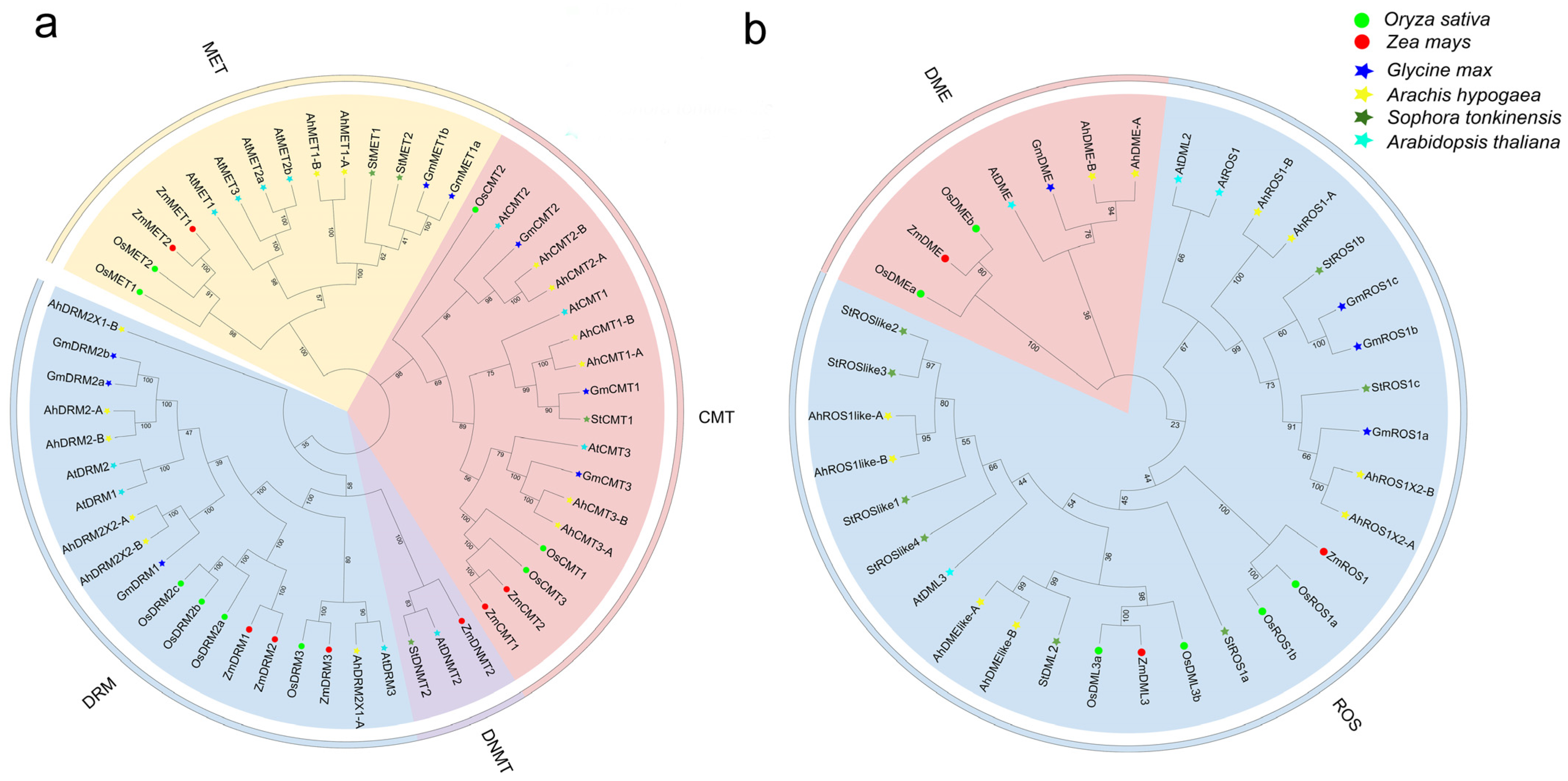 Plants 15 00396 g001