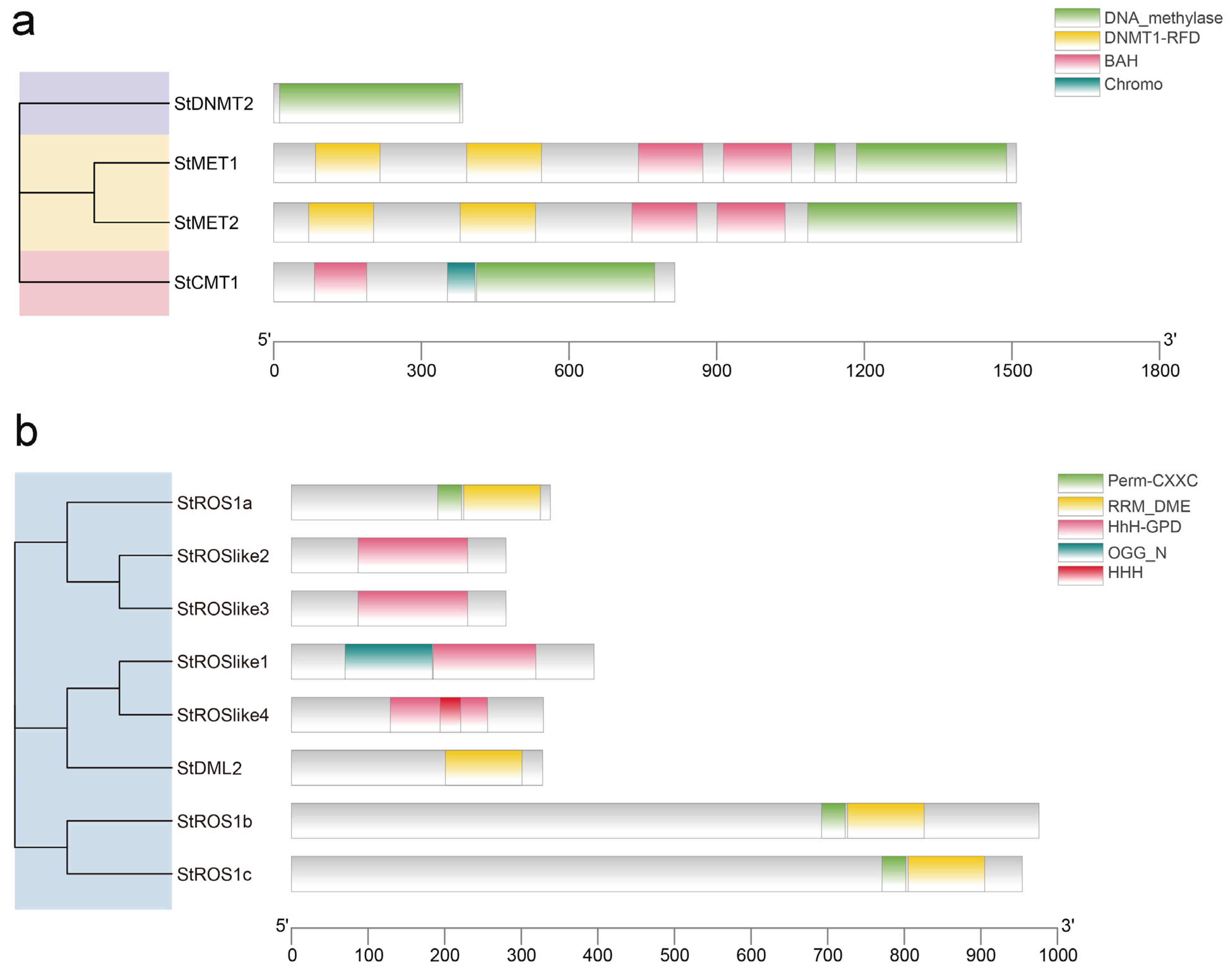 Plants 15 00396 g002
