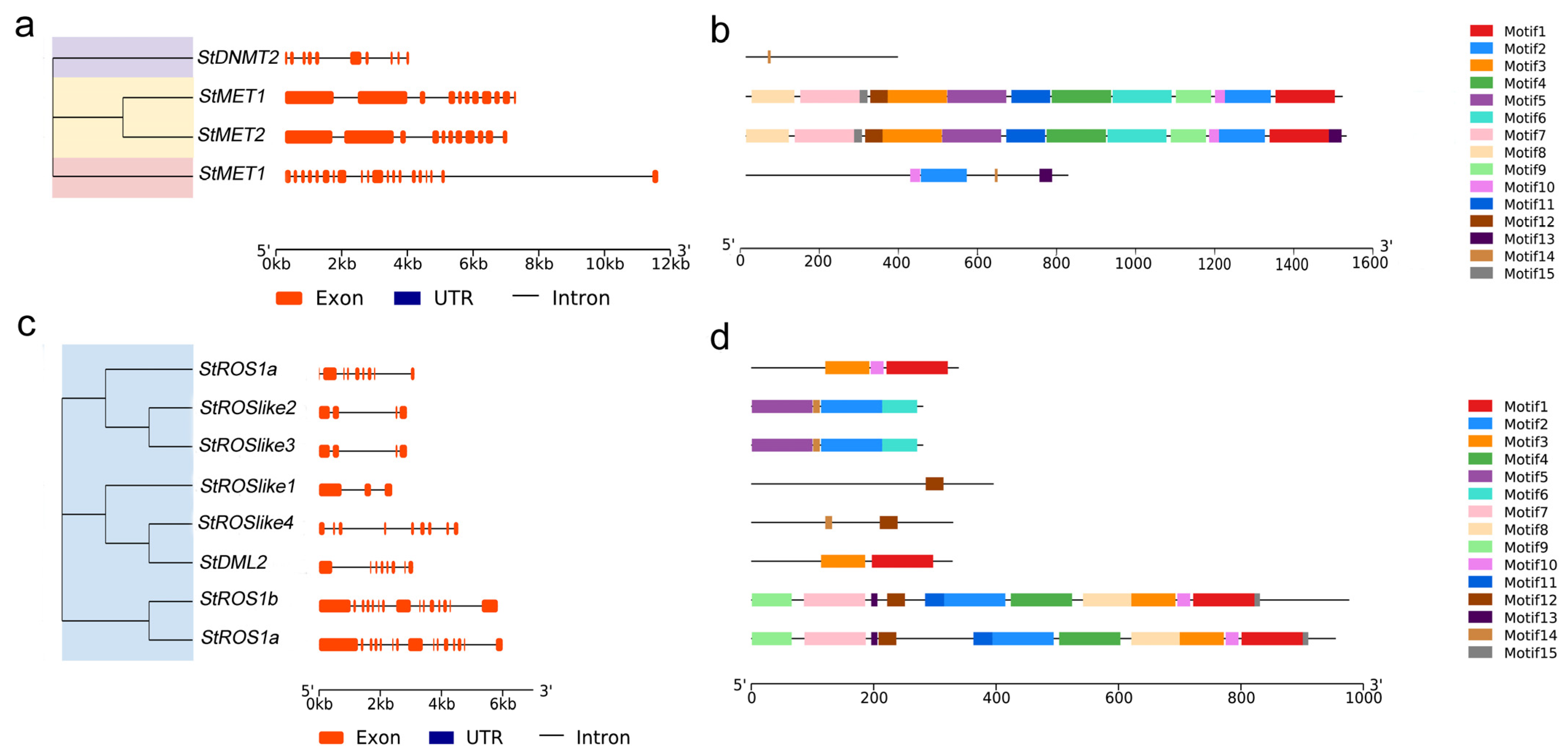 Plants 15 00396 g003