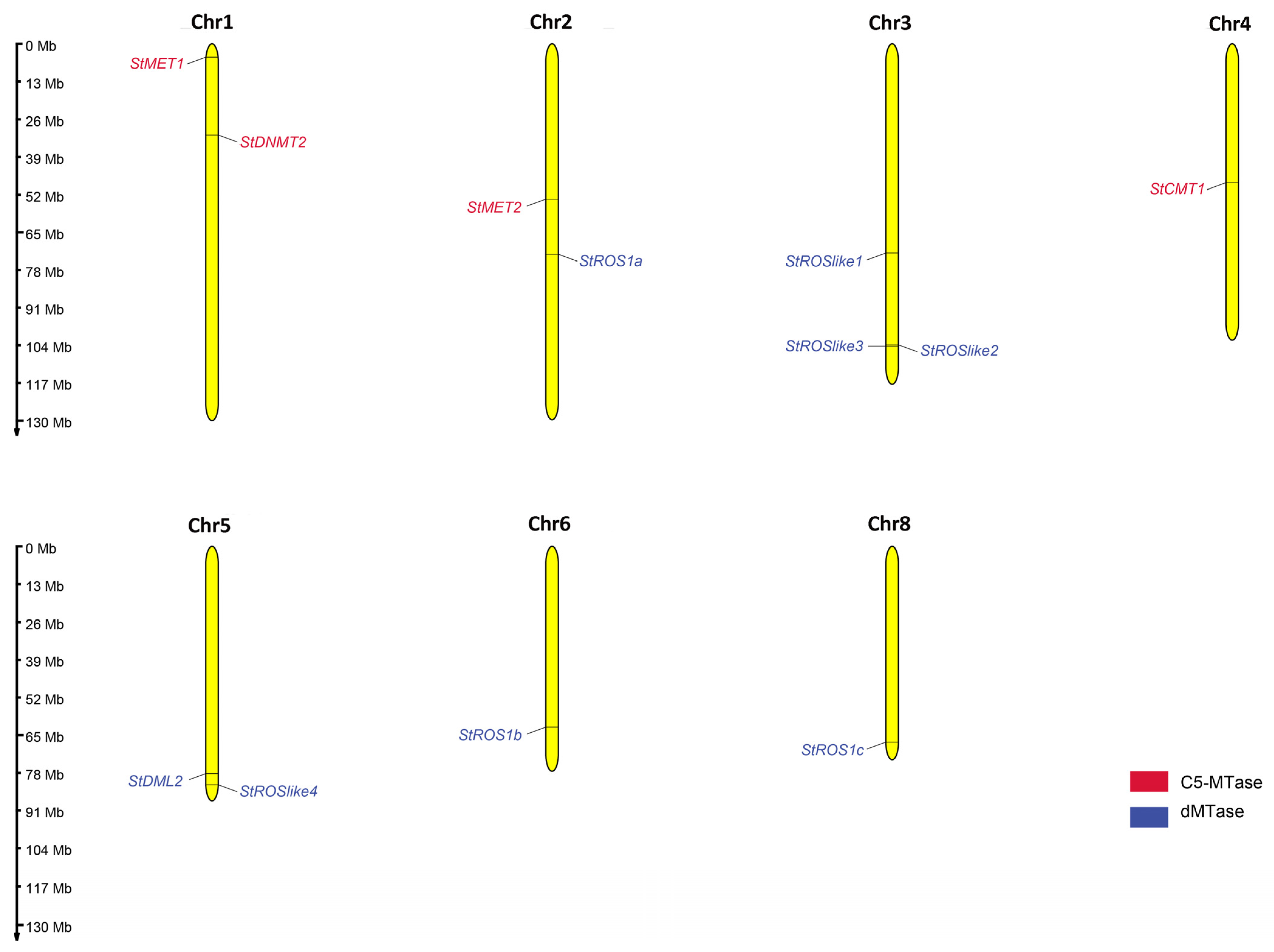 Plants 15 00396 g004