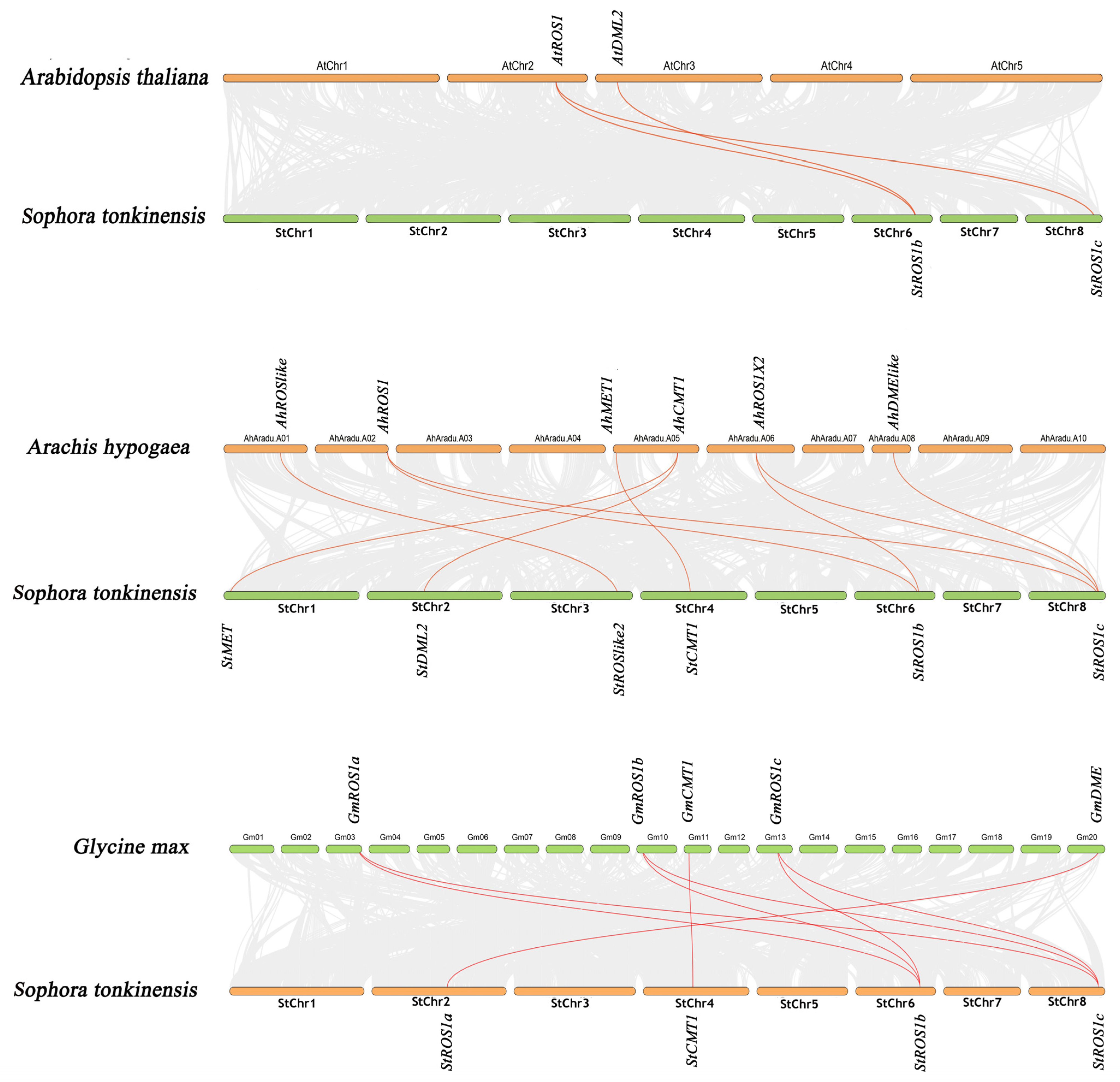 Plants 15 00396 g006