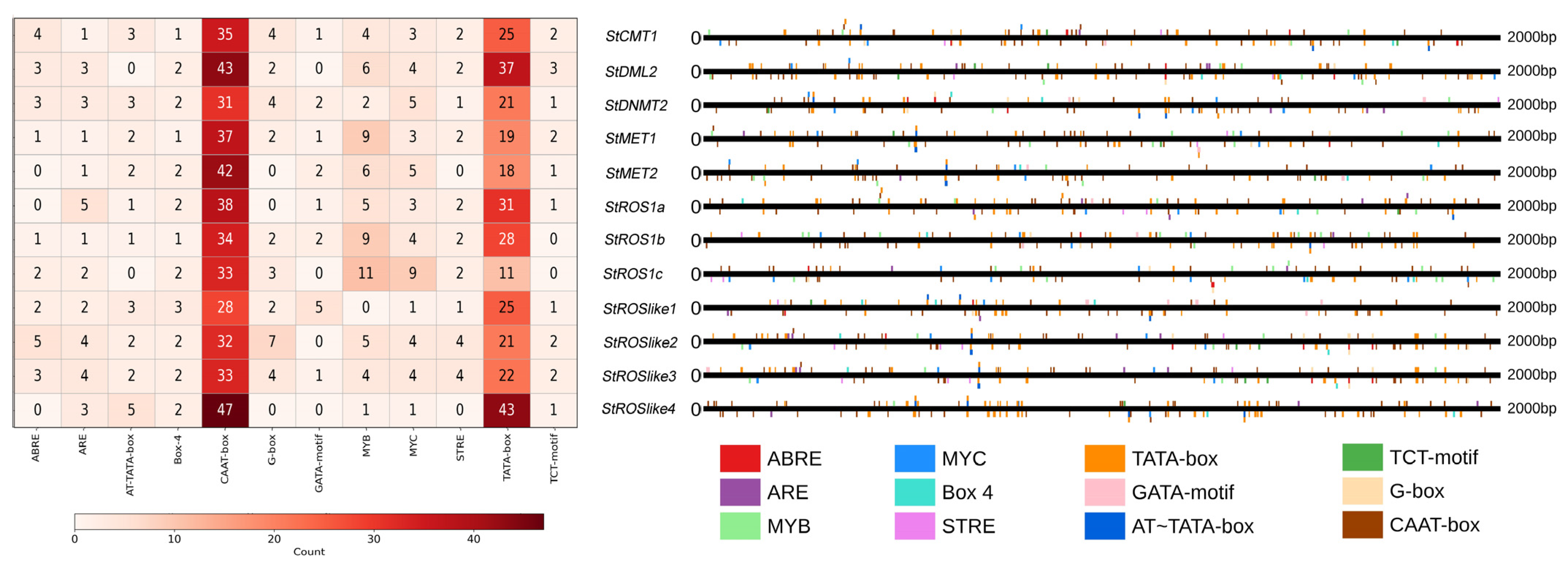 Plants 15 00396 g007